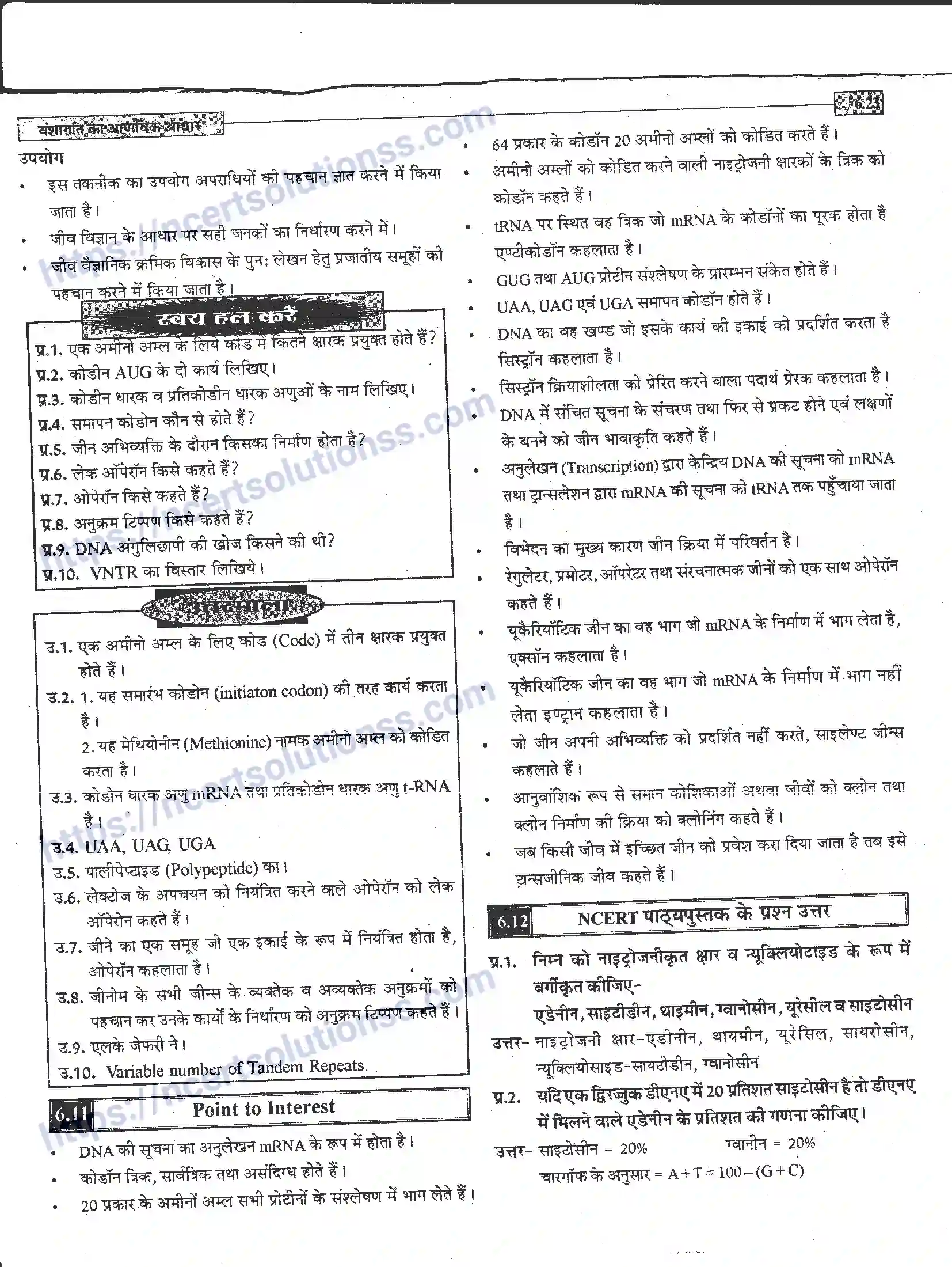 NCERT-Notes-Class-12-जीवand-विज्ञान-वंशागति-का-आणविक-आधार-944-page-23