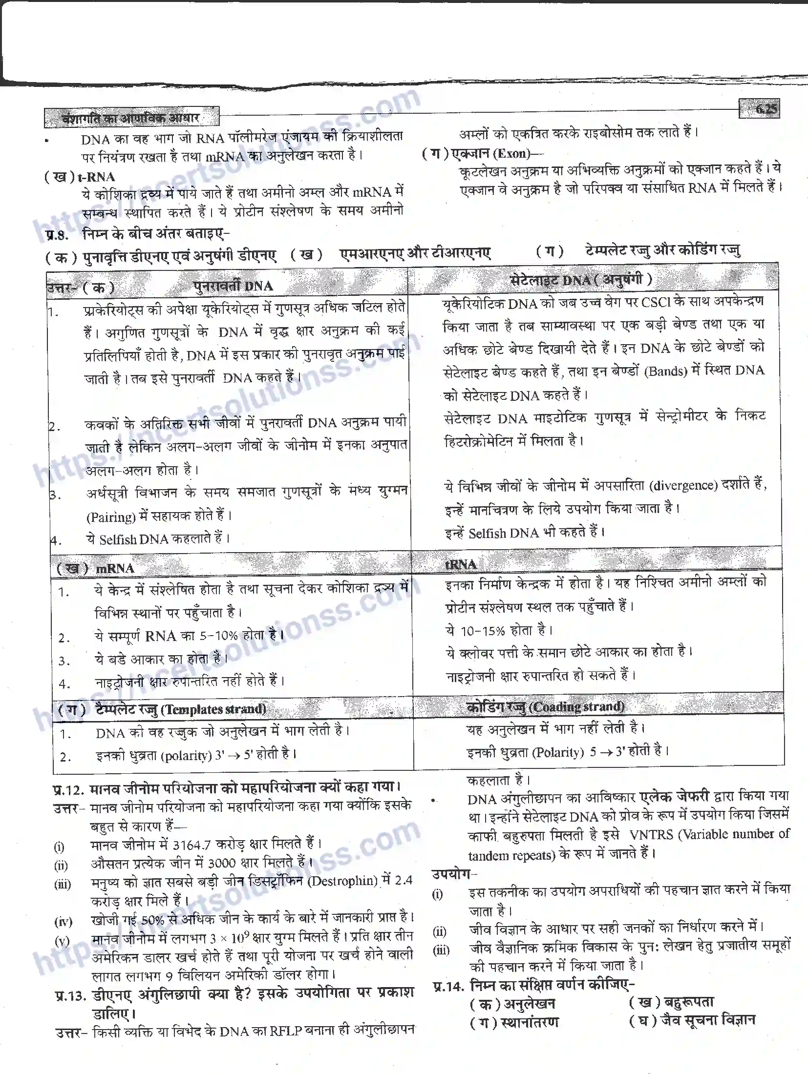 NCERT-Notes-Class-12-जीवand-विज्ञान-वंशागति-का-आणविक-आधार-944-page-25
