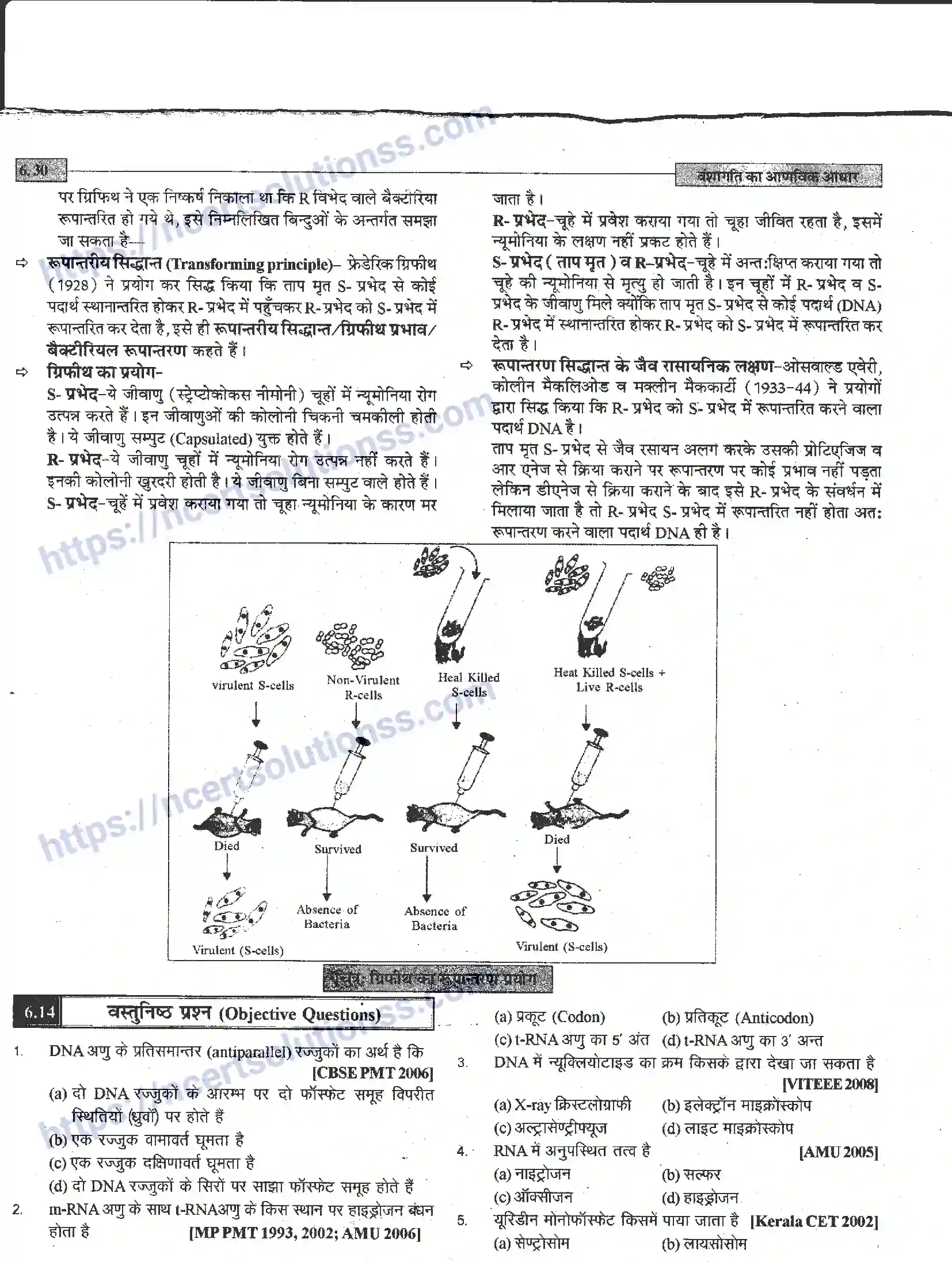 NCERT-Notes-Class-12-जीवand-विज्ञान-वंशागति-का-आणविक-आधार-944-page-30