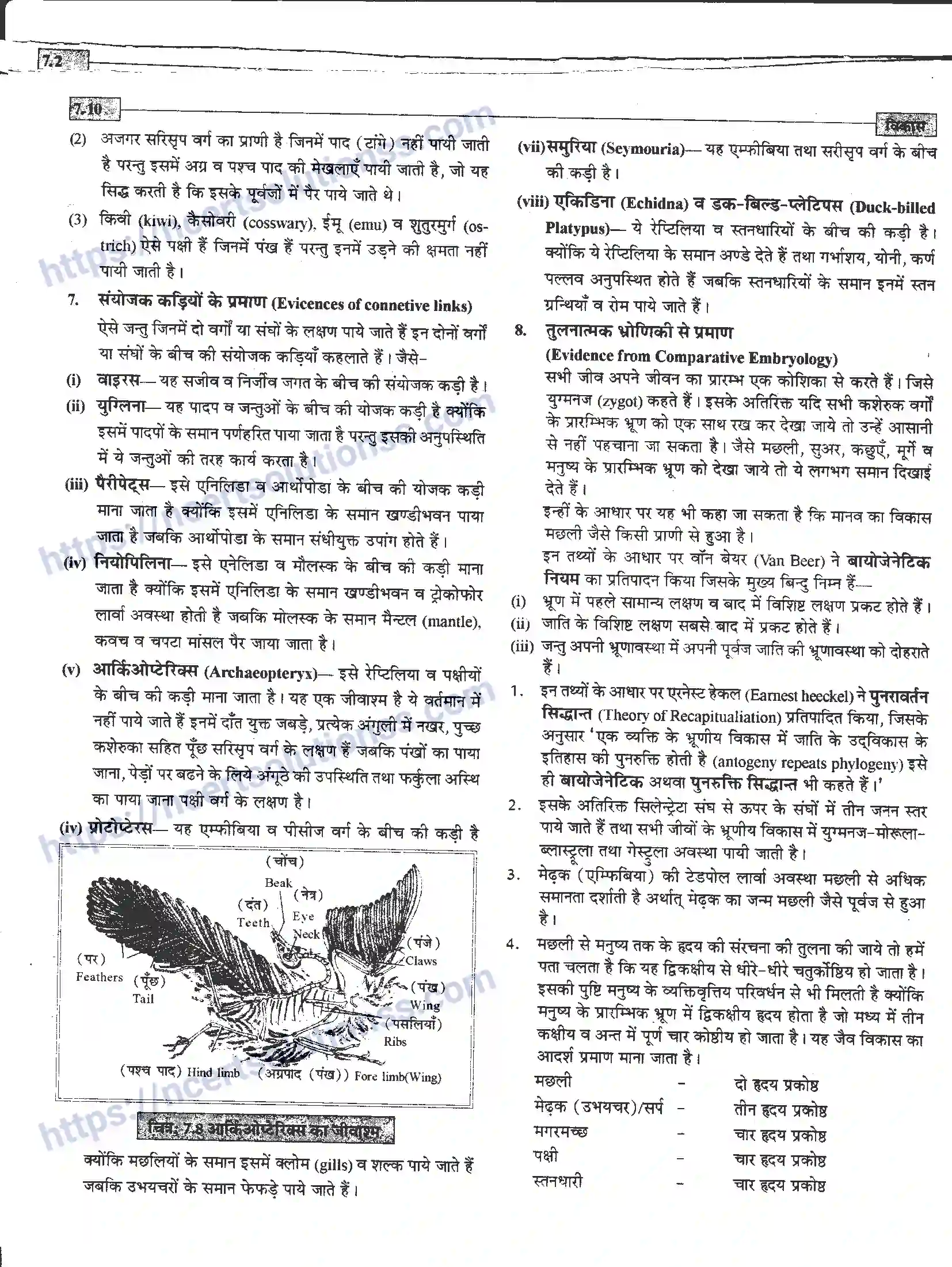 NCERT-Notes-Class-12-जीवand-विज्ञान-विकास-945-page-10