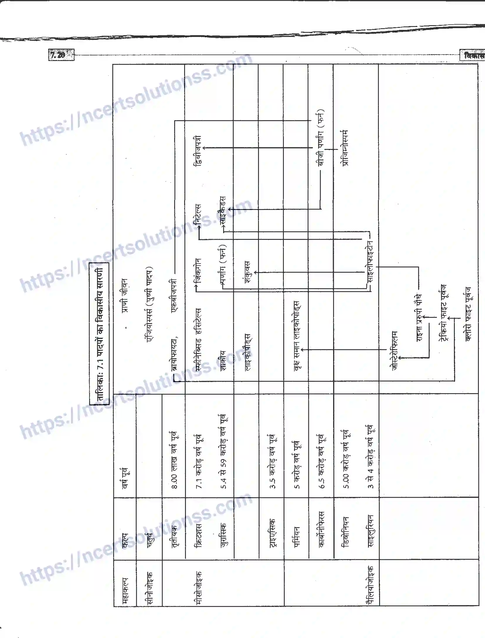 NCERT-Notes-Class-12-जीवand-विज्ञान-विकास-945-page-20