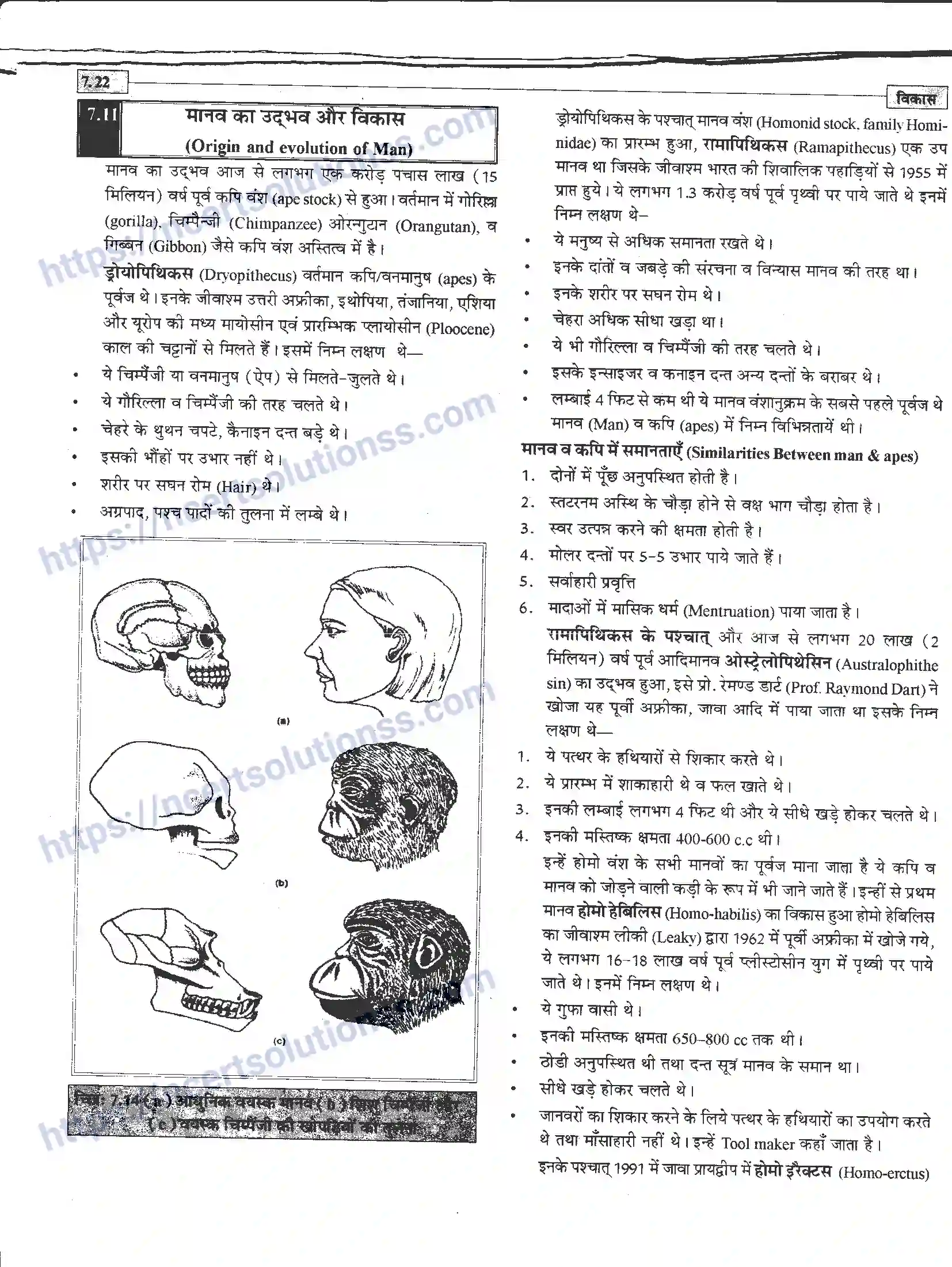 NCERT-Notes-Class-12-जीवand-विज्ञान-विकास-945-page-22