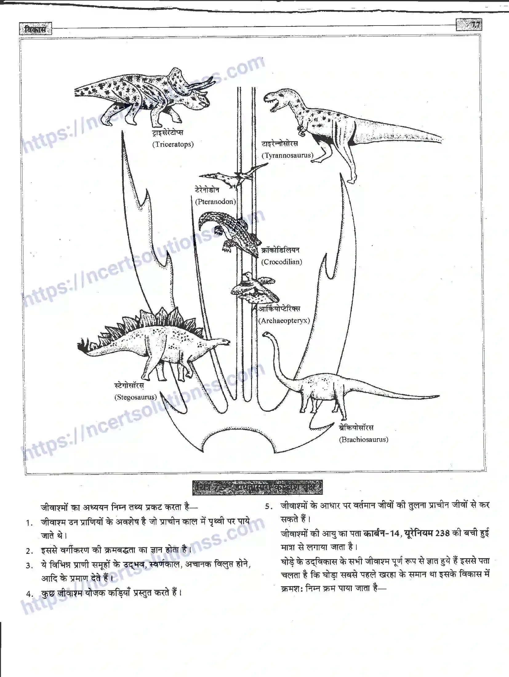 NCERT-Notes-Class-12-जीवand-विज्ञान-विकास-945-page-7
