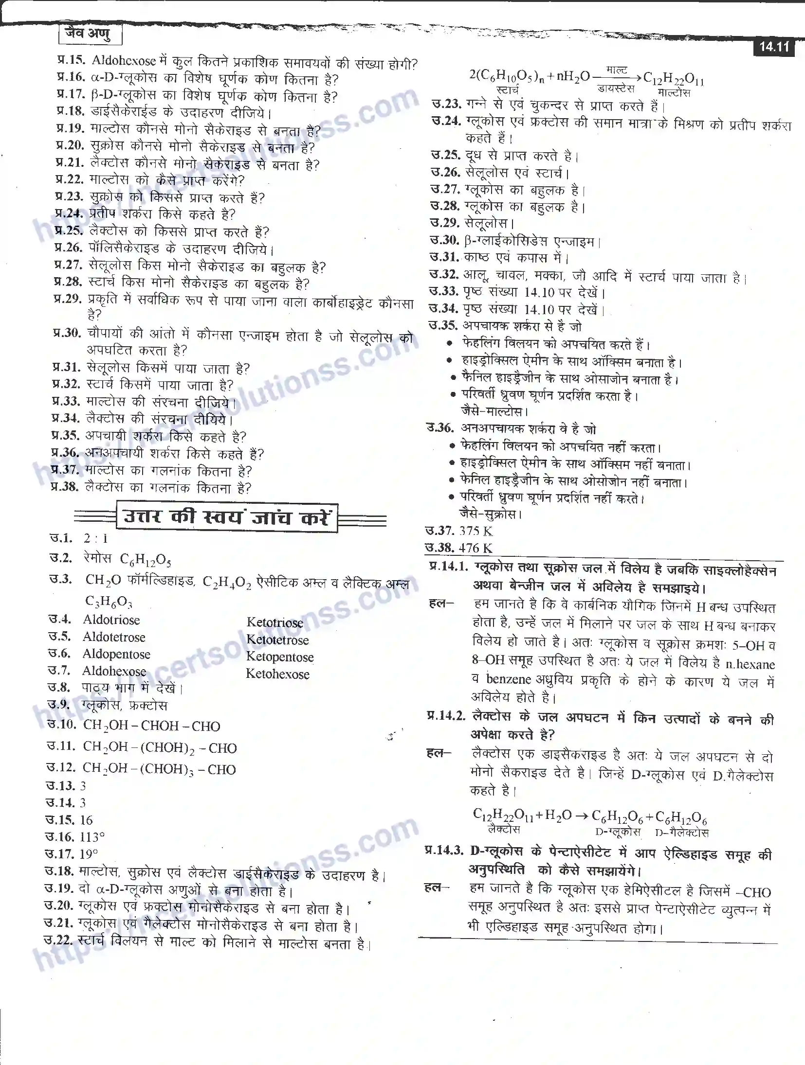 NCERT-Notes-Class-12-रसायन-विज्ञान-जैव-अणु-968-page-11