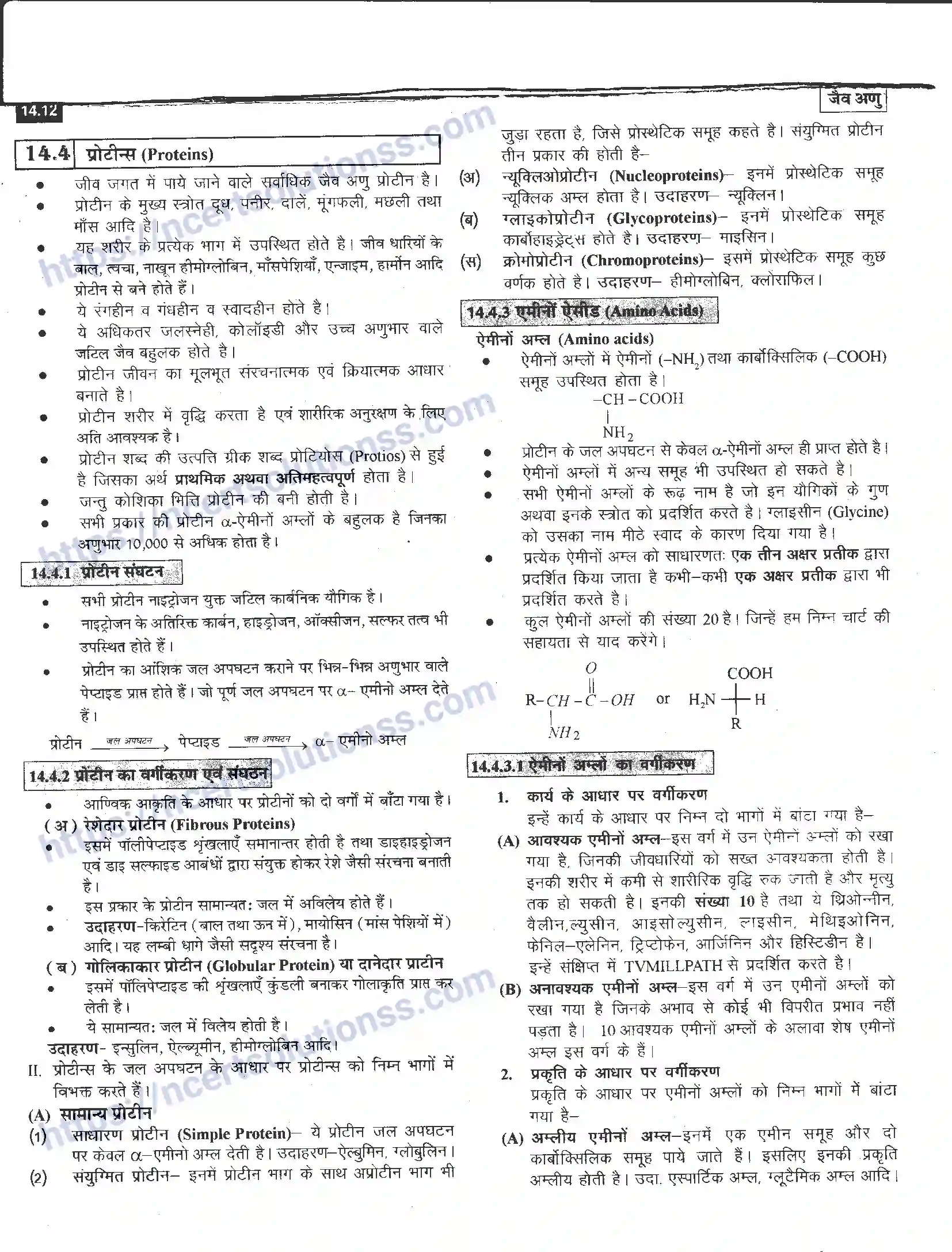 NCERT-Notes-Class-12-रसायन-विज्ञान-जैव-अणु-968-page-12