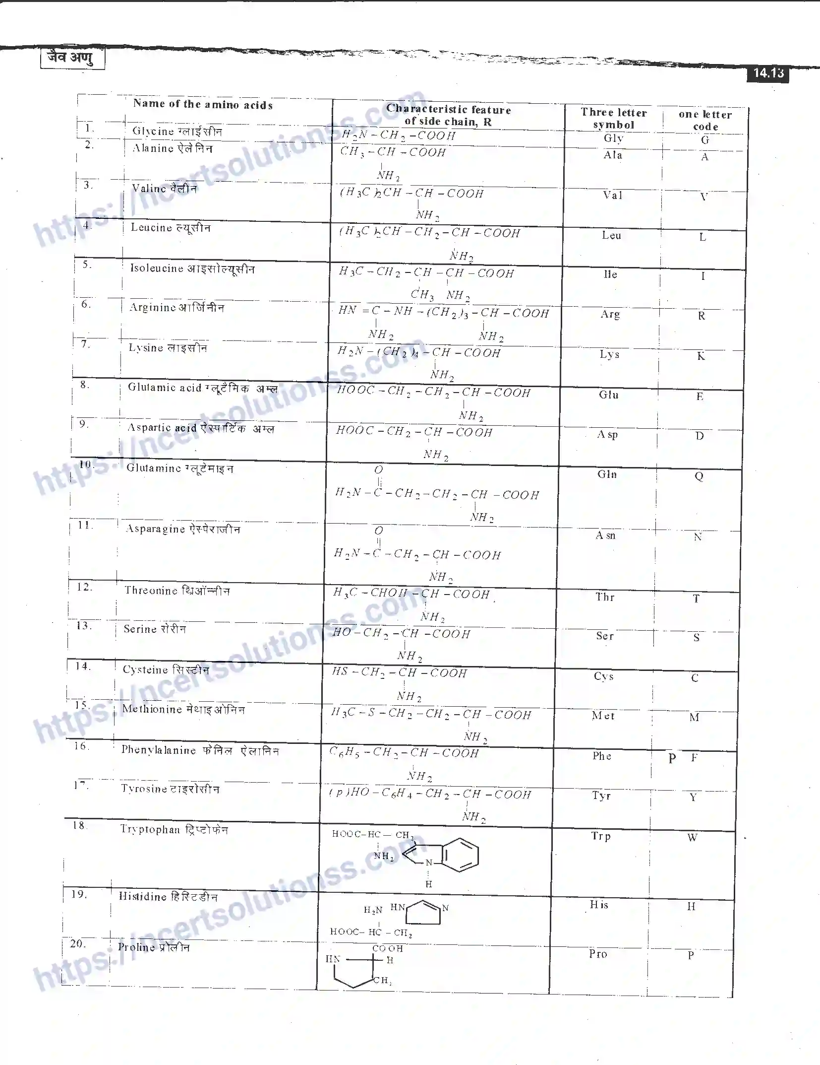 NCERT-Notes-Class-12-रसायन-विज्ञान-जैव-अणु-968-page-13