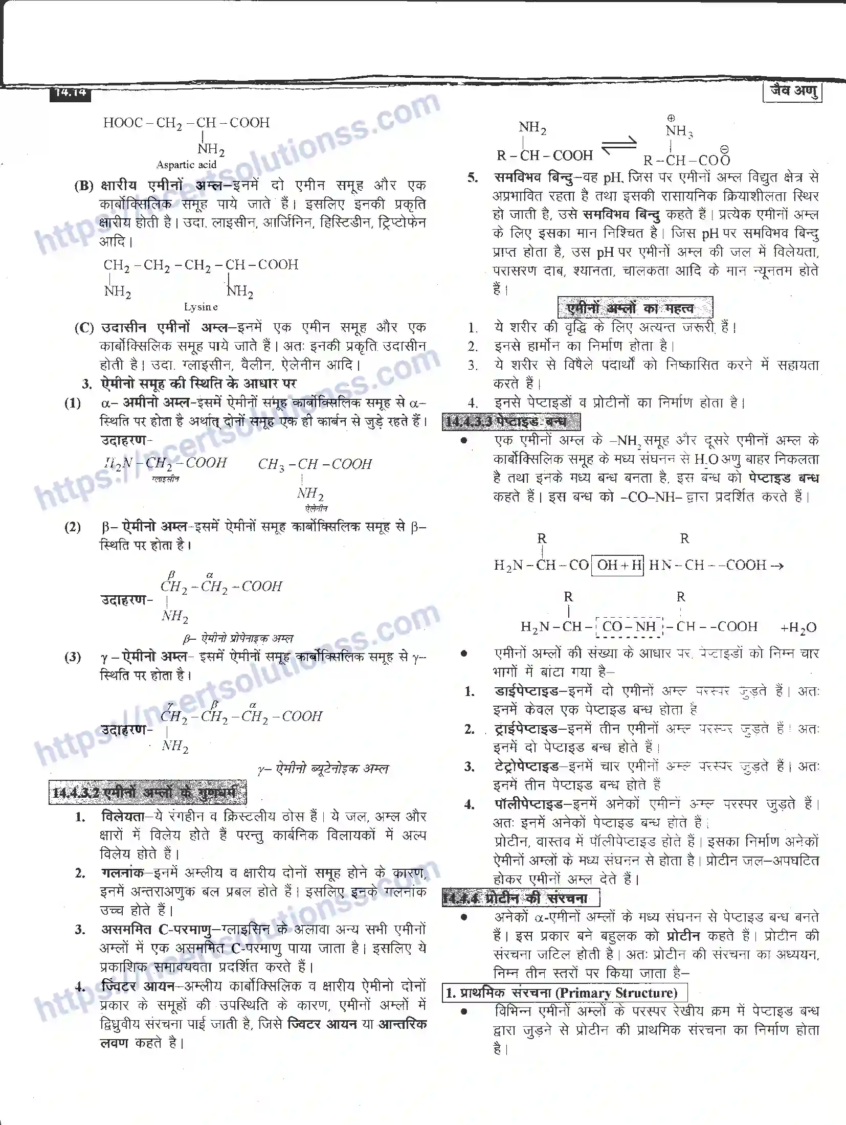 NCERT-Notes-Class-12-रसायन-विज्ञान-जैव-अणु-968-page-14