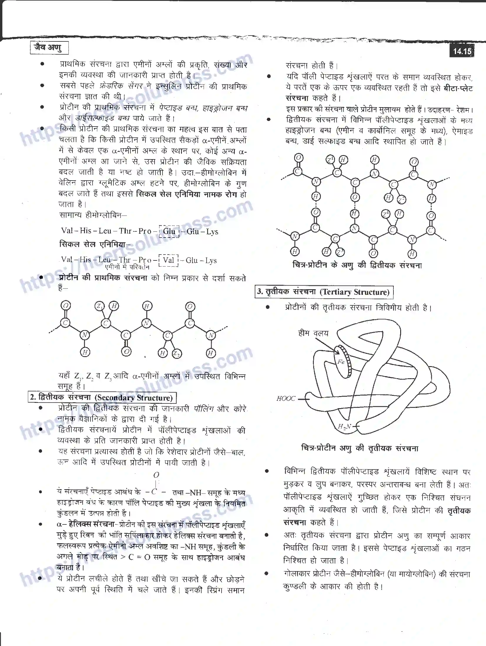 NCERT-Notes-Class-12-रसायन-विज्ञान-जैव-अणु-968-page-15