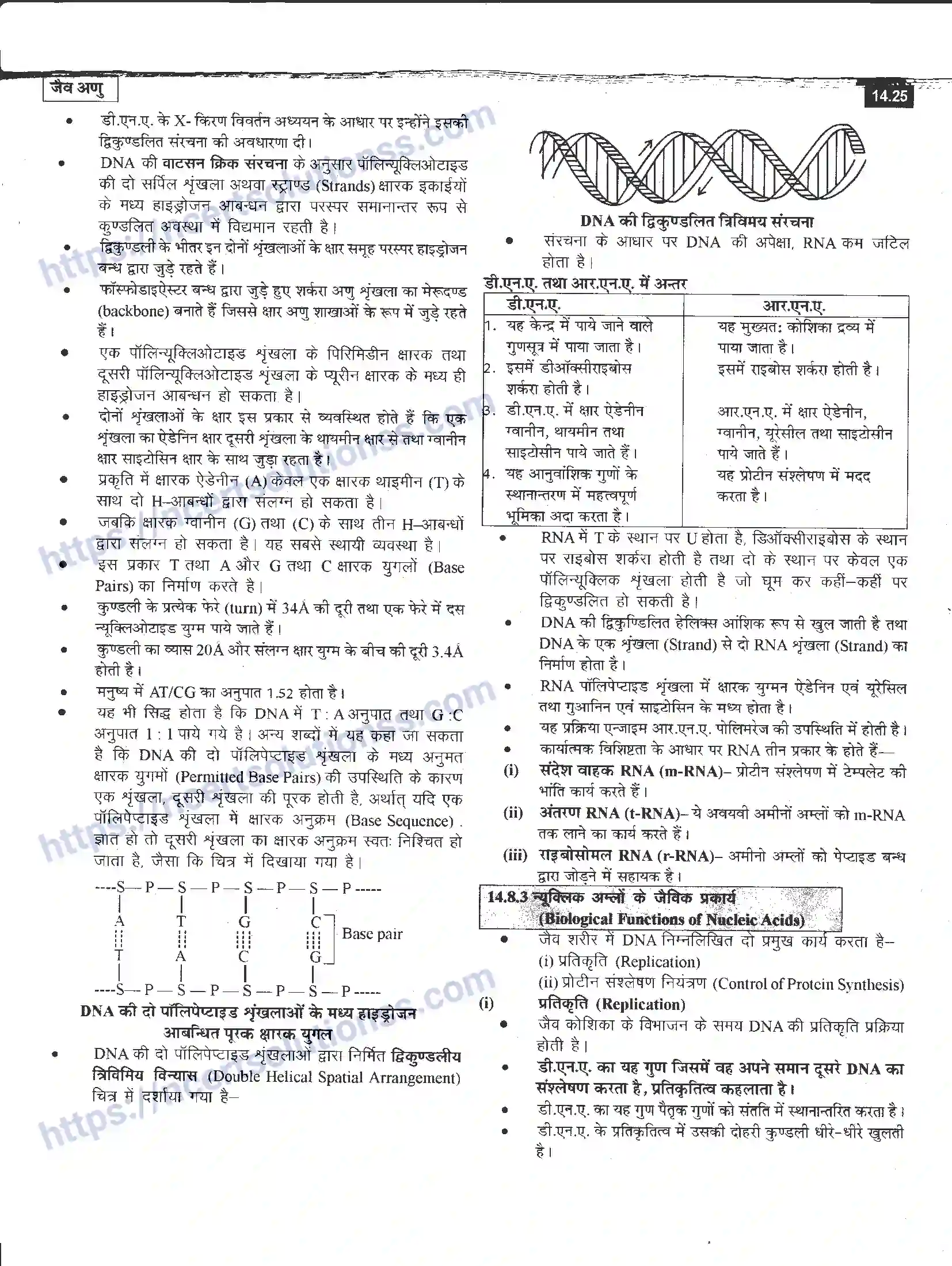 NCERT-Notes-Class-12-रसायन-विज्ञान-जैव-अणु-968-page-25