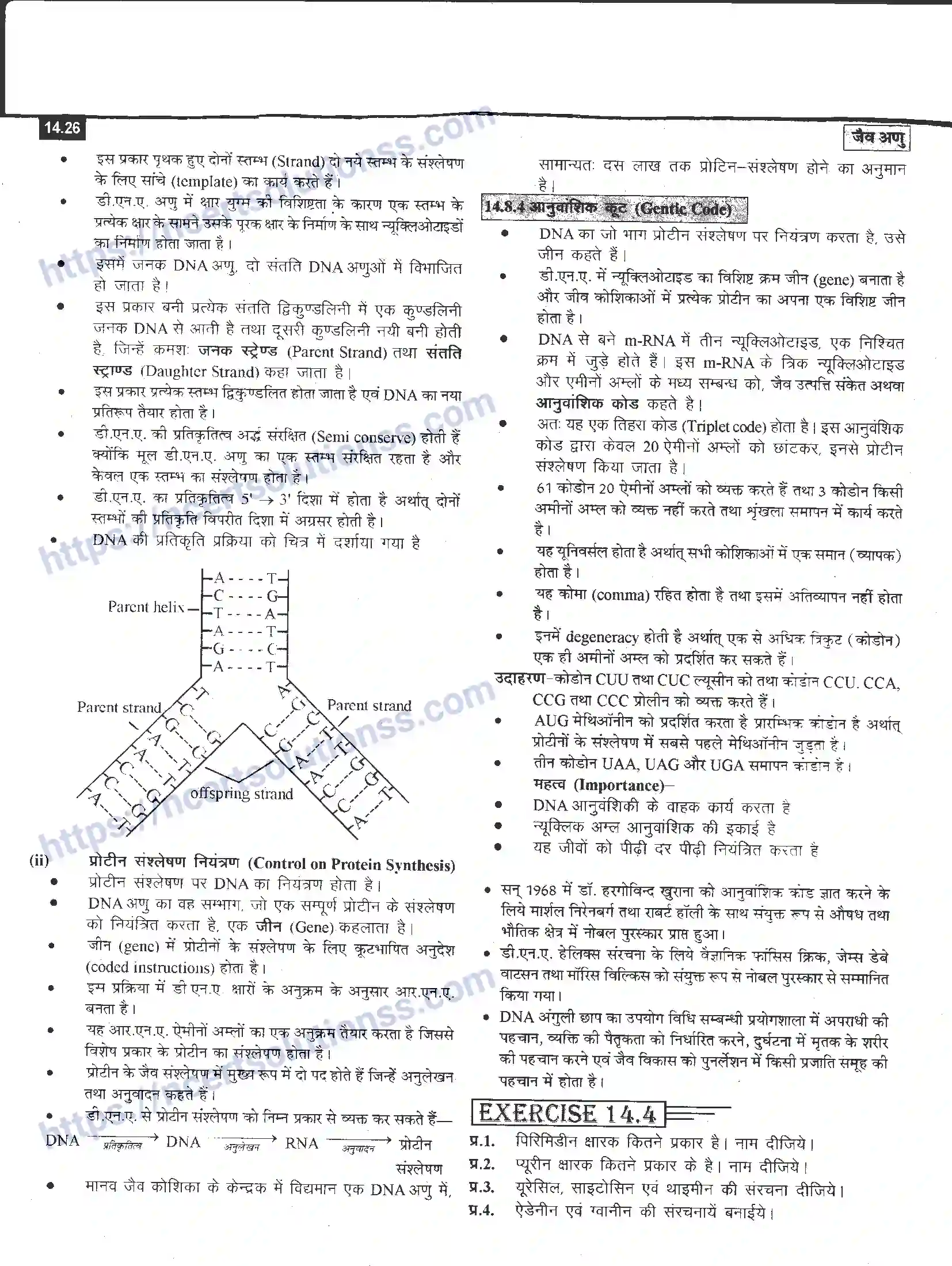 NCERT-Notes-Class-12-रसायन-विज्ञान-जैव-अणु-968-page-26