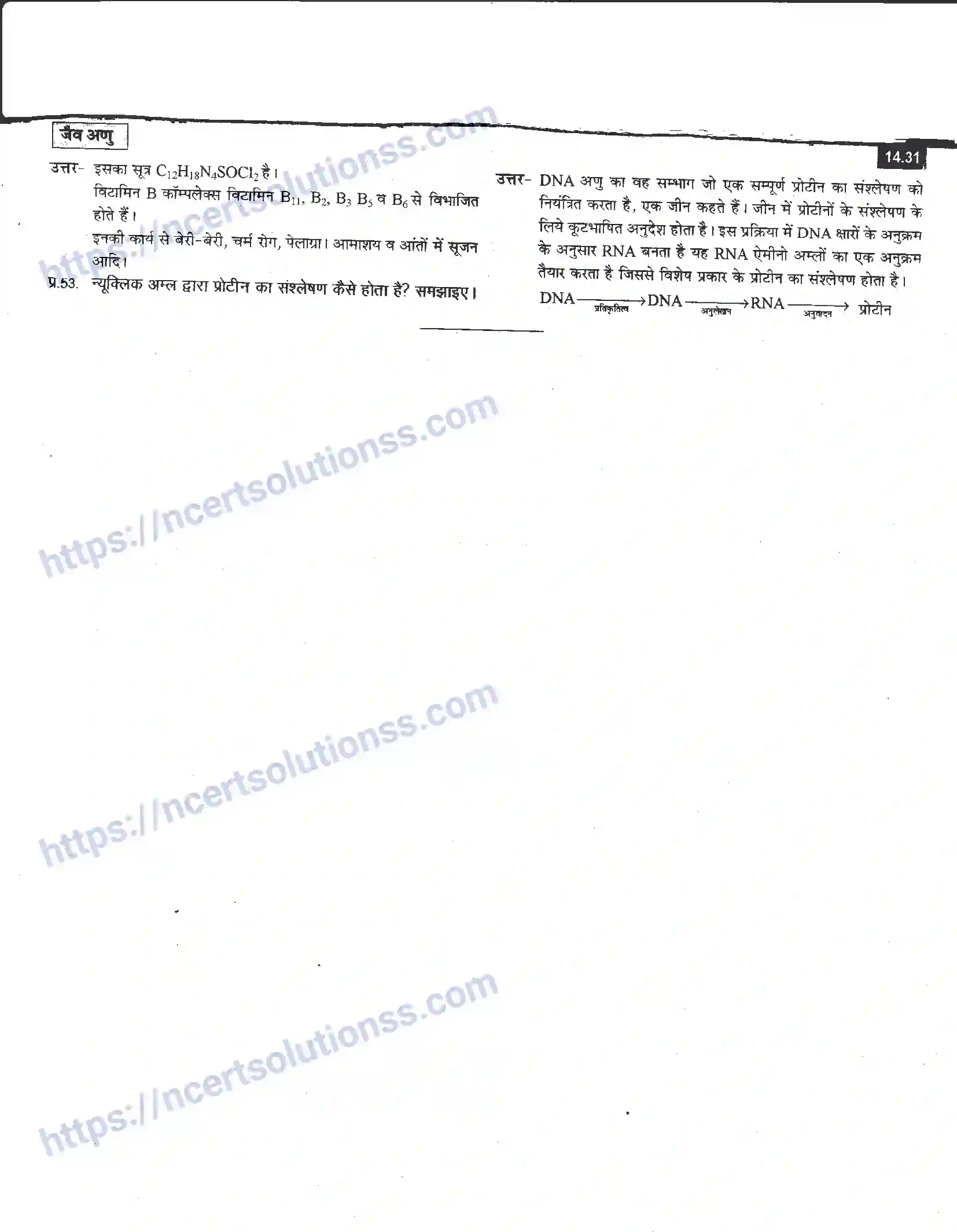 NCERT-Notes-Class-12-रसायन-विज्ञान-जैव-अणु-968-page-31