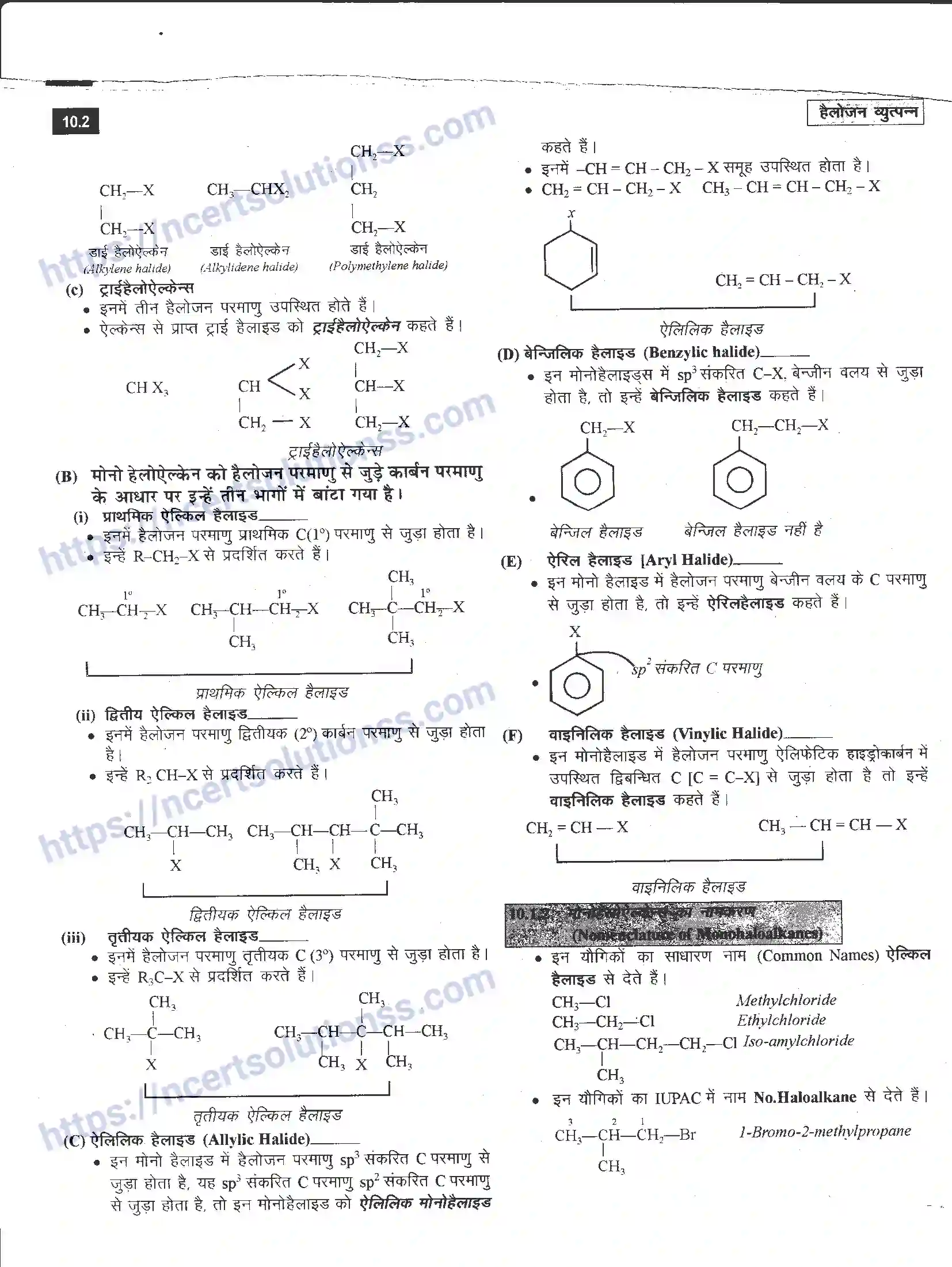 NCERT-Notes-Class-12-रसायन-विज्ञान-हैलोजन-व्युत्पत्र-964-page-2