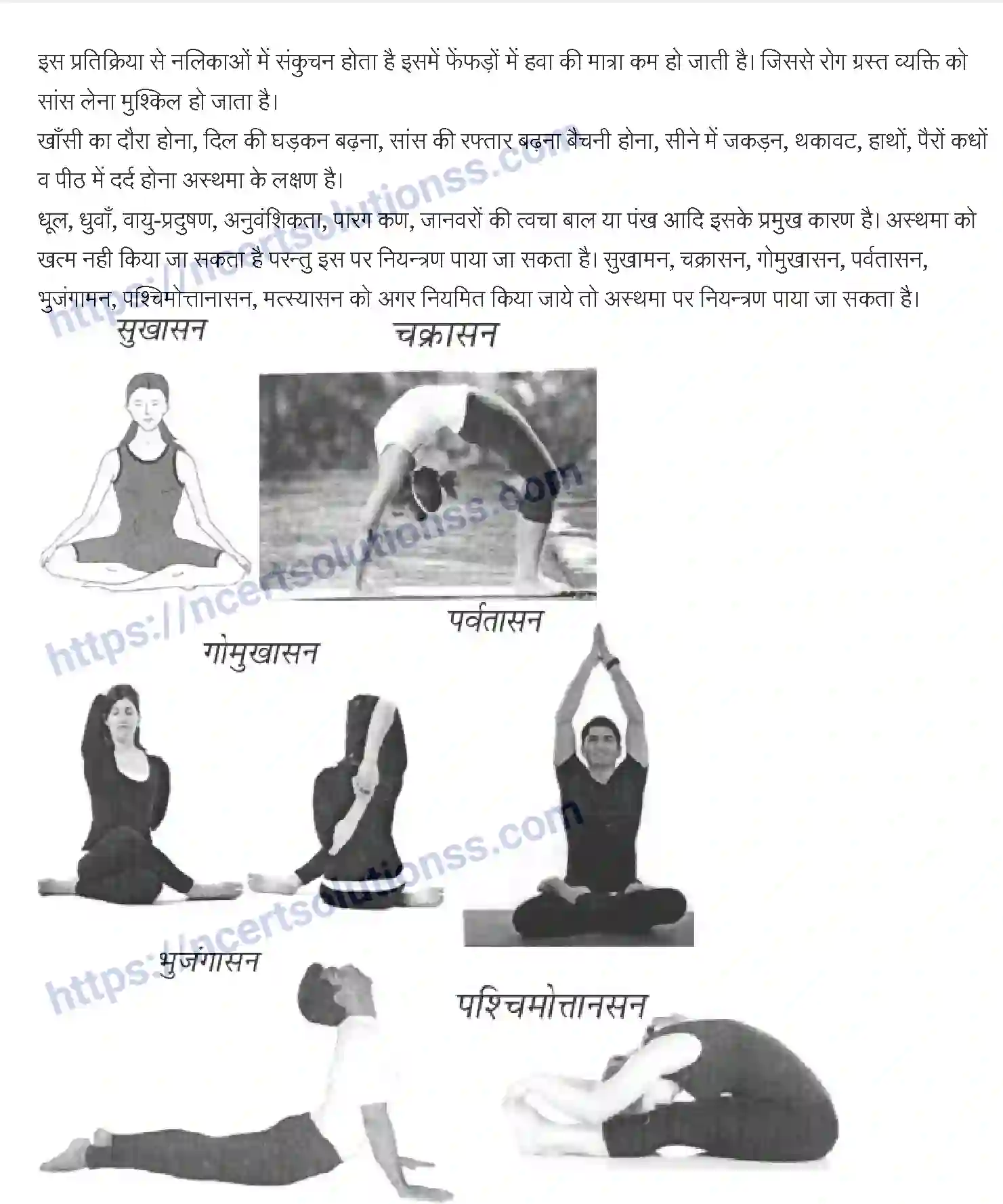 NCERT-Notes-Class-12-शारीरिक-शिक्षा-योगा-और-जीवन-शैली-929-page-4
