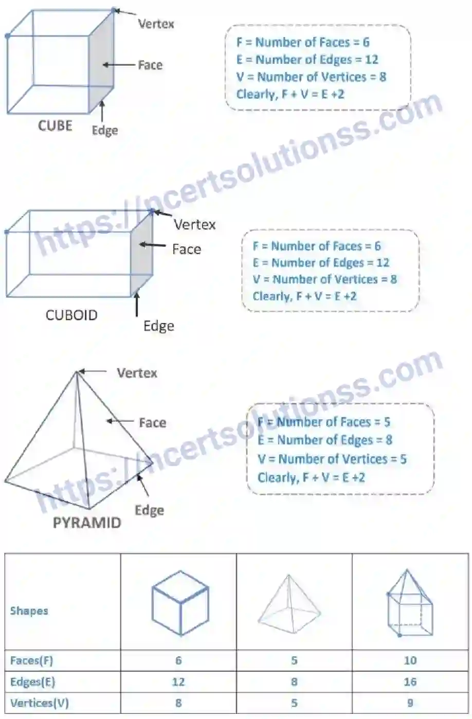 NCERT-Notes-Class-6-Maths-Understanding-Elementary-Shapes-736-page-12