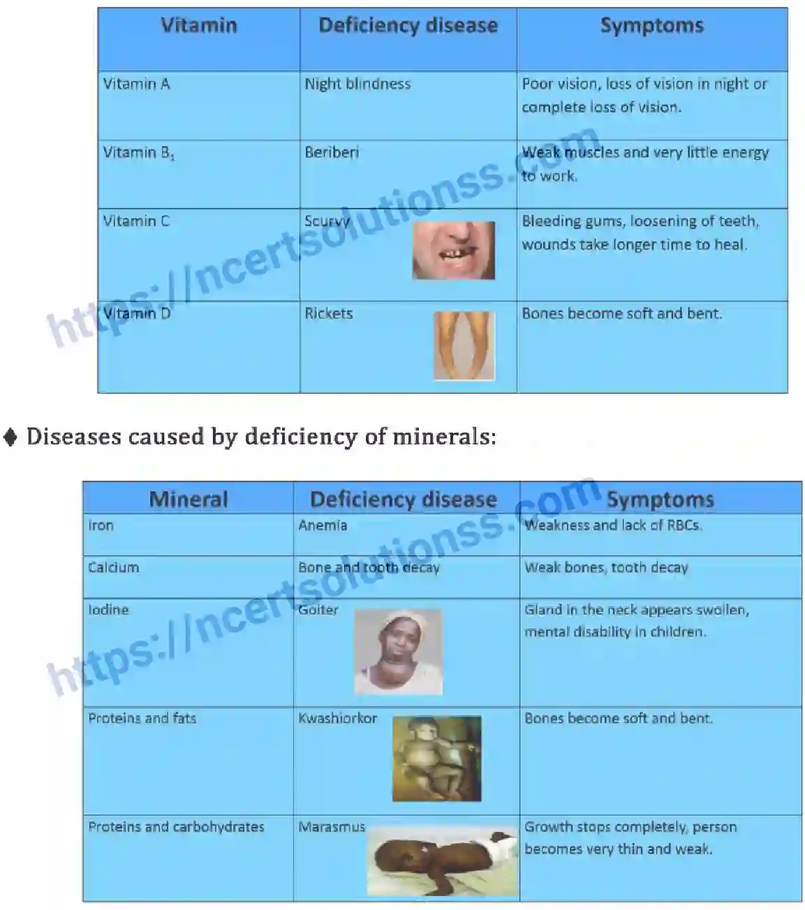 NCERT-Notes-Class-6-Science-Ch-02-Components-of-Food-747-page-5