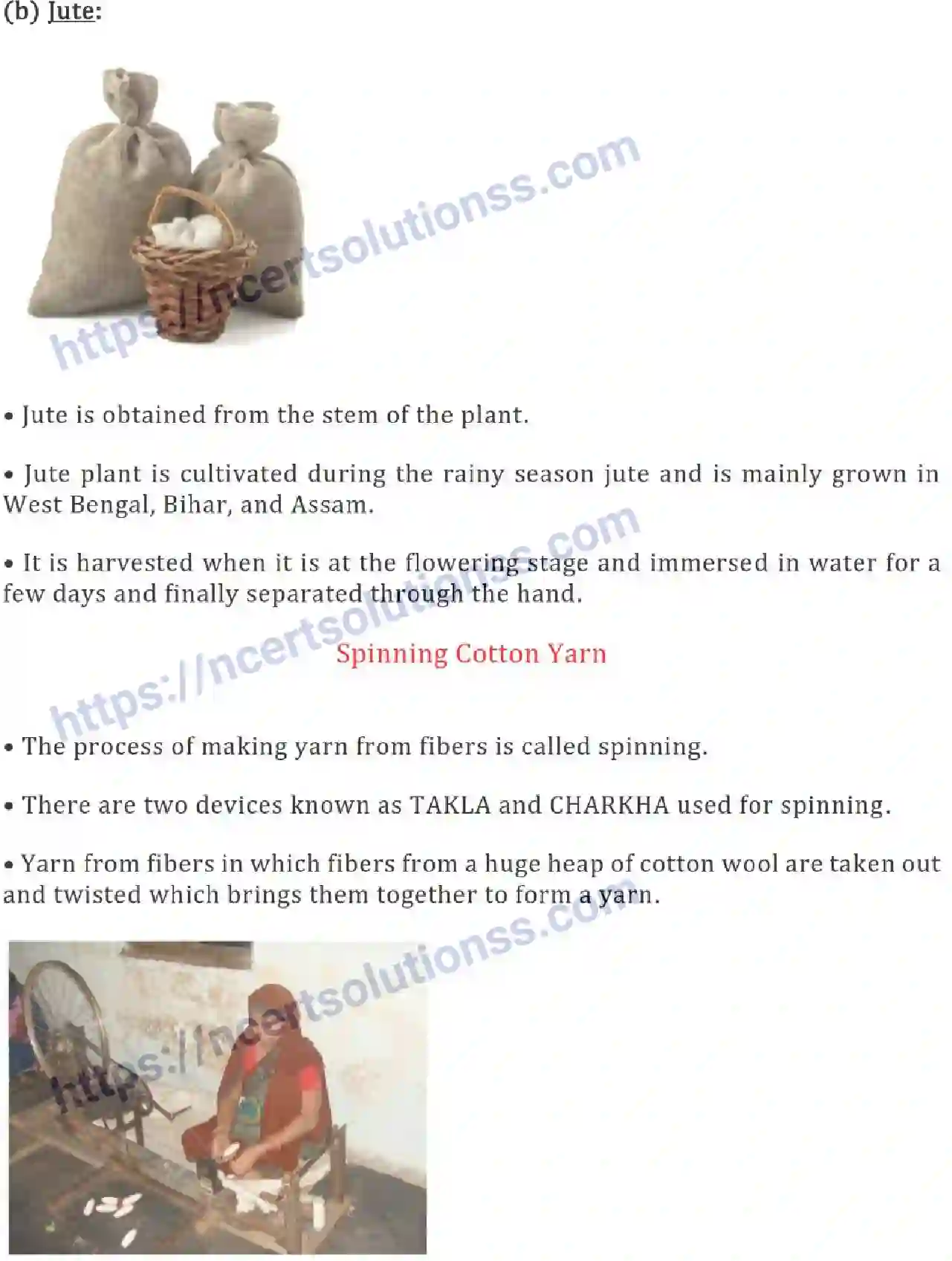 NCERT-Notes-Class-6-Science-Ch-03-Fibre-to-Fabric-748-page-3