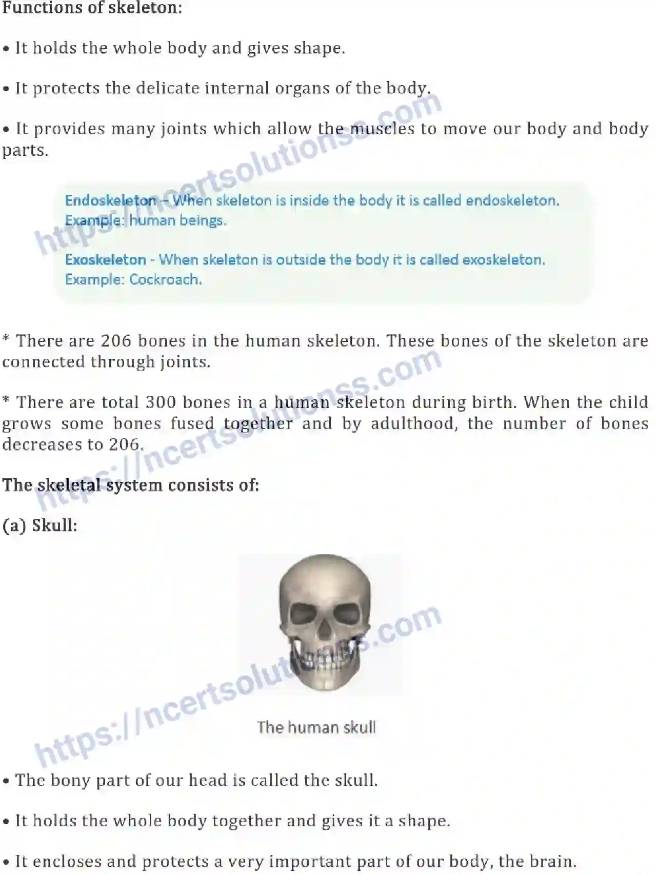 NCERT-Notes-Class-6-Science-Ch-08-Body-Movements-753-page-2