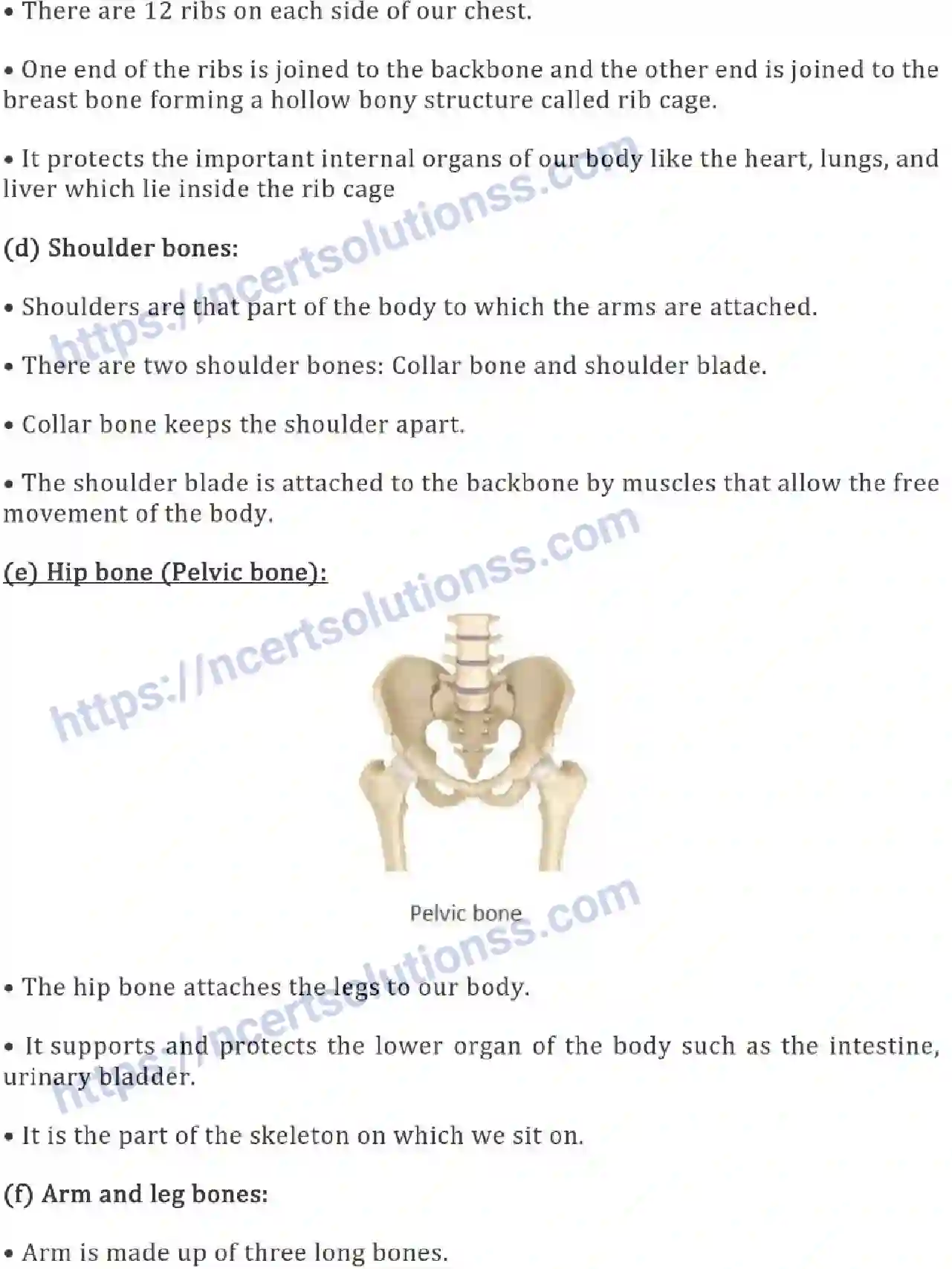 NCERT-Notes-Class-6-Science-Ch-08-Body-Movements-753-page-4