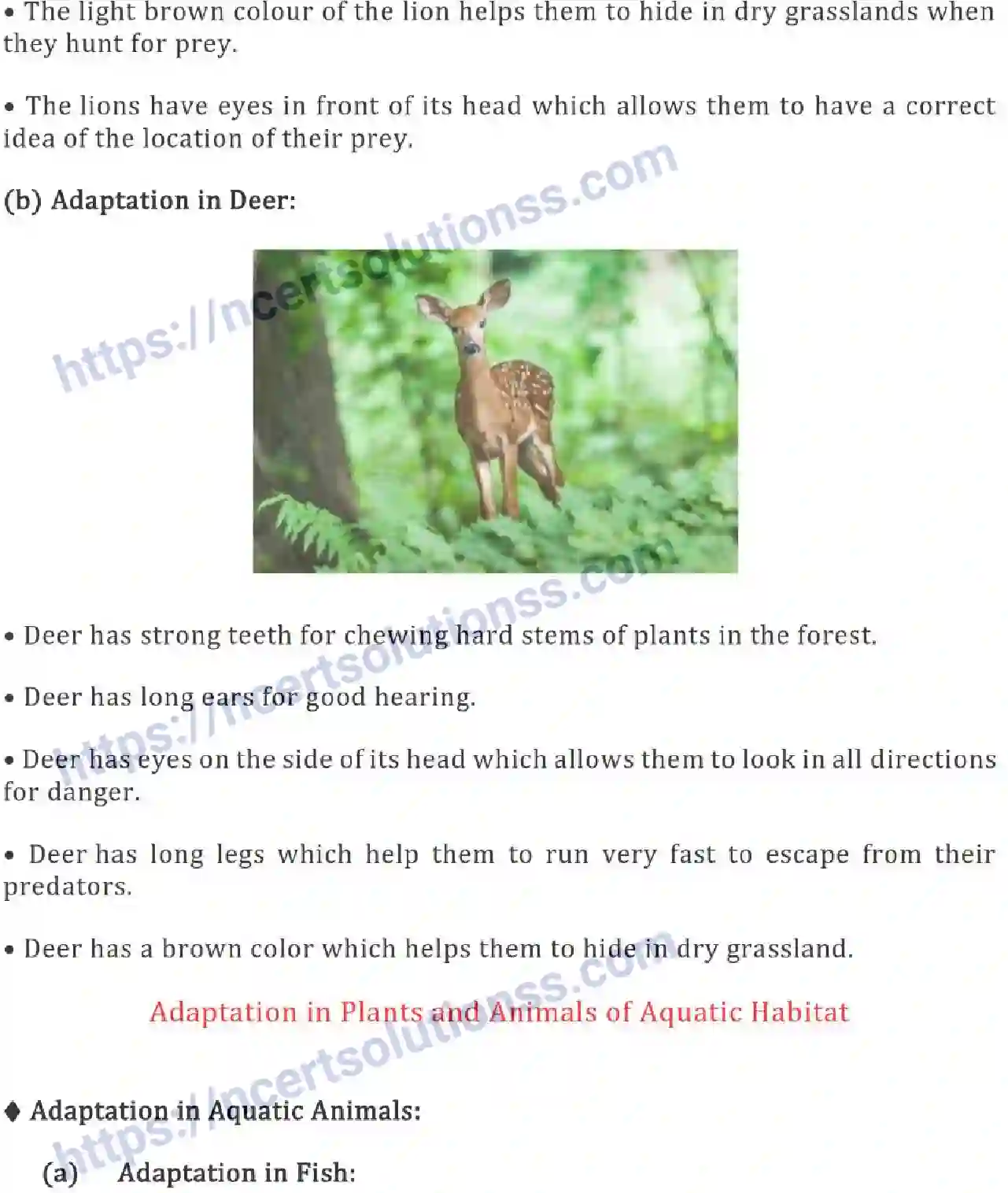 NCERT-Notes-Class-6-Science-Ch-09-The-Living-Organisms-Characteristics-and-Habitats-754-page-6