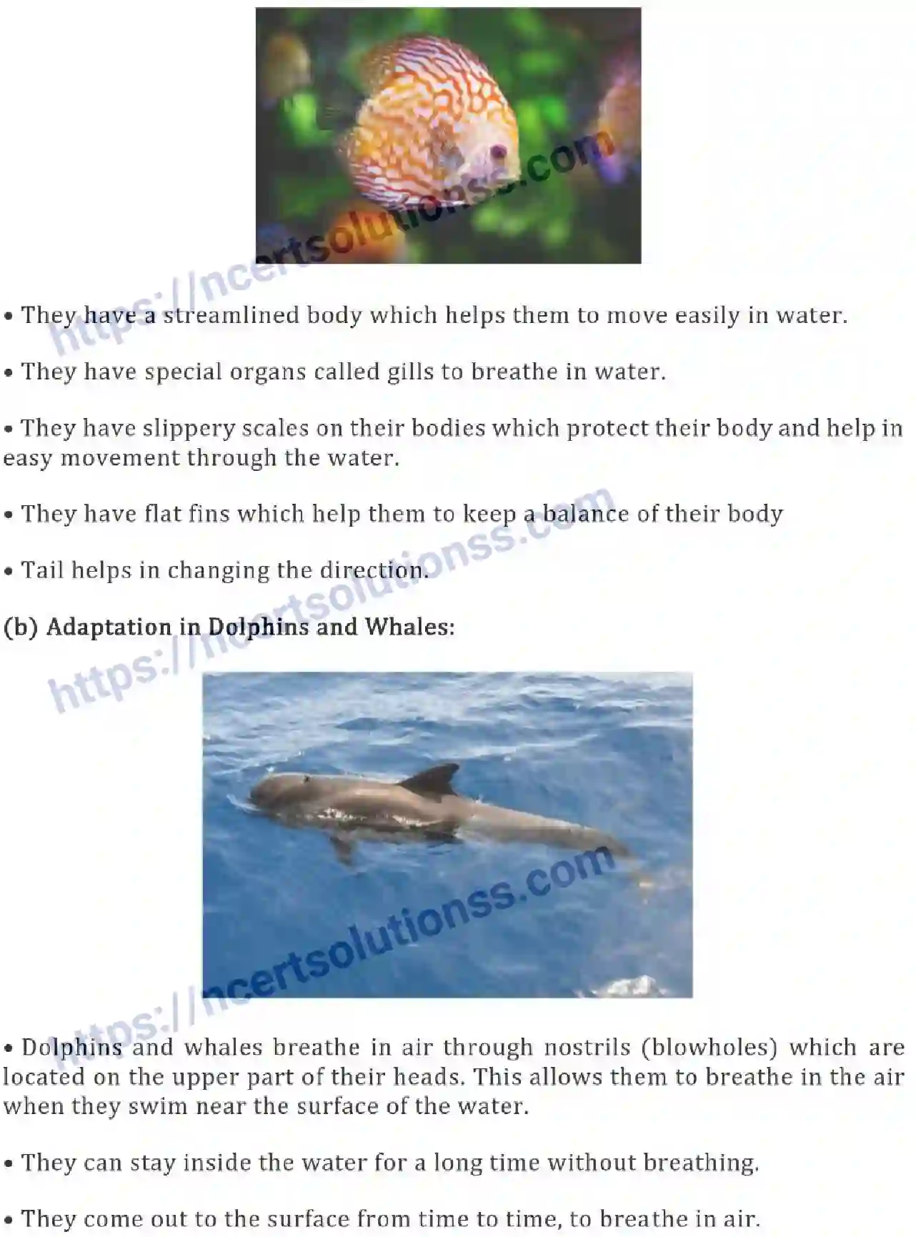 NCERT-Notes-Class-6-Science-Ch-09-The-Living-Organisms-Characteristics-and-Habitats-754-page-7