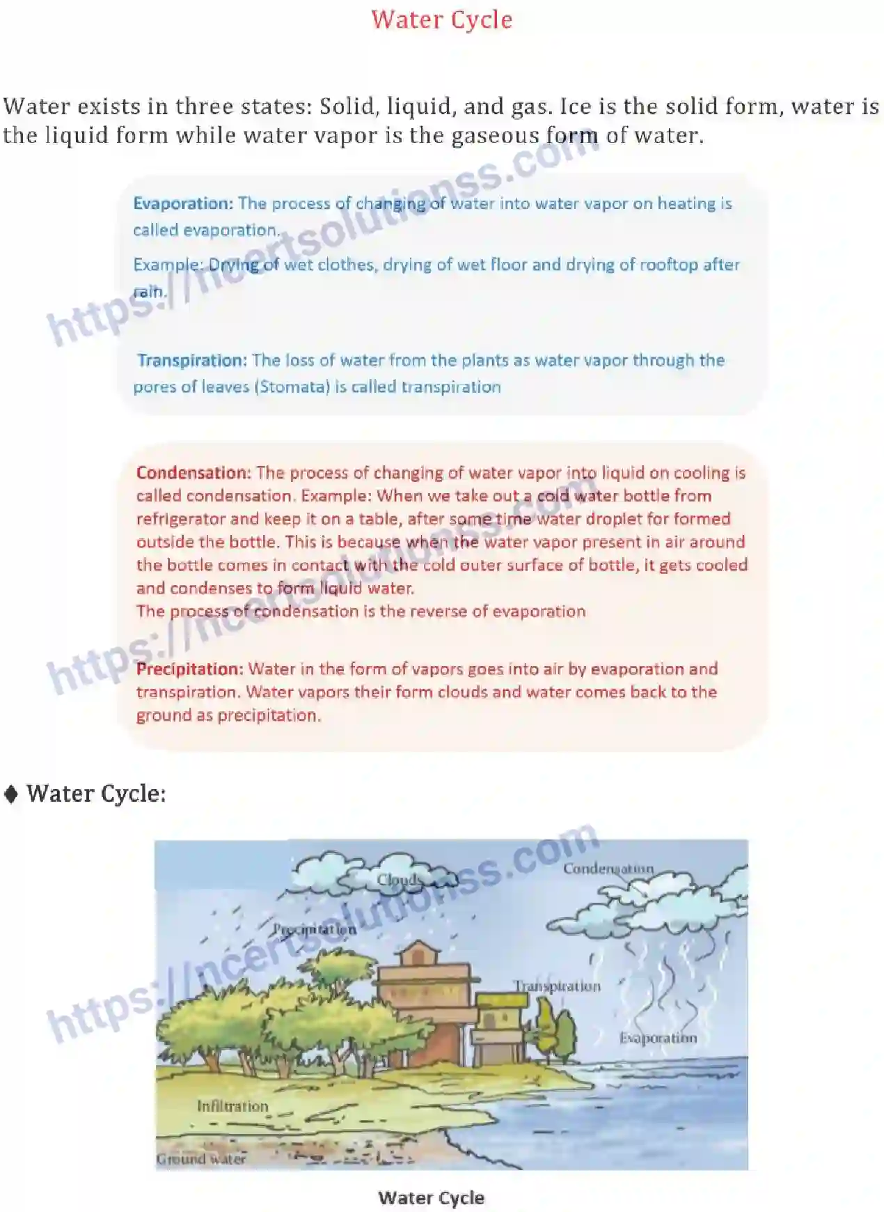 NCERT-Notes-Class-6-Science-Ch-14-Water-759-page-2