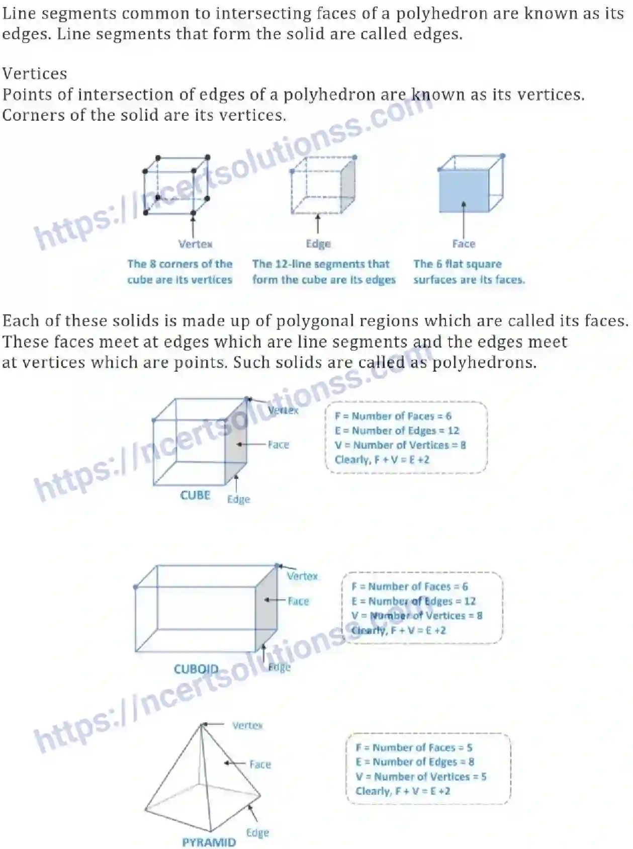 NCERT-Notes-Class-7-Maths-Visualizing-Solid-Shapes-683-page-2