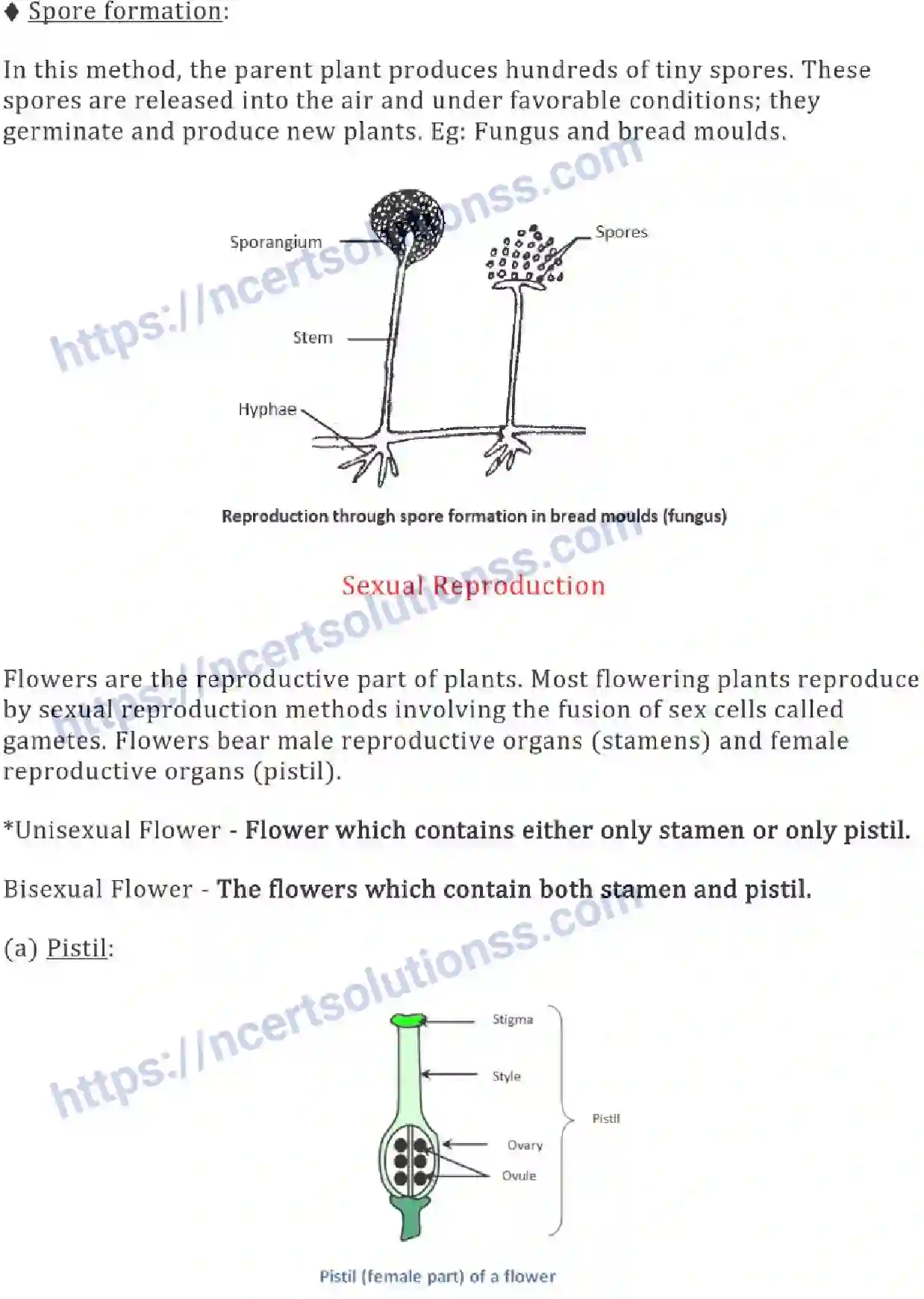 NCERT-Notes-Class-7-Science-Ch-12-Reproduction-in-Plants-695-page-3