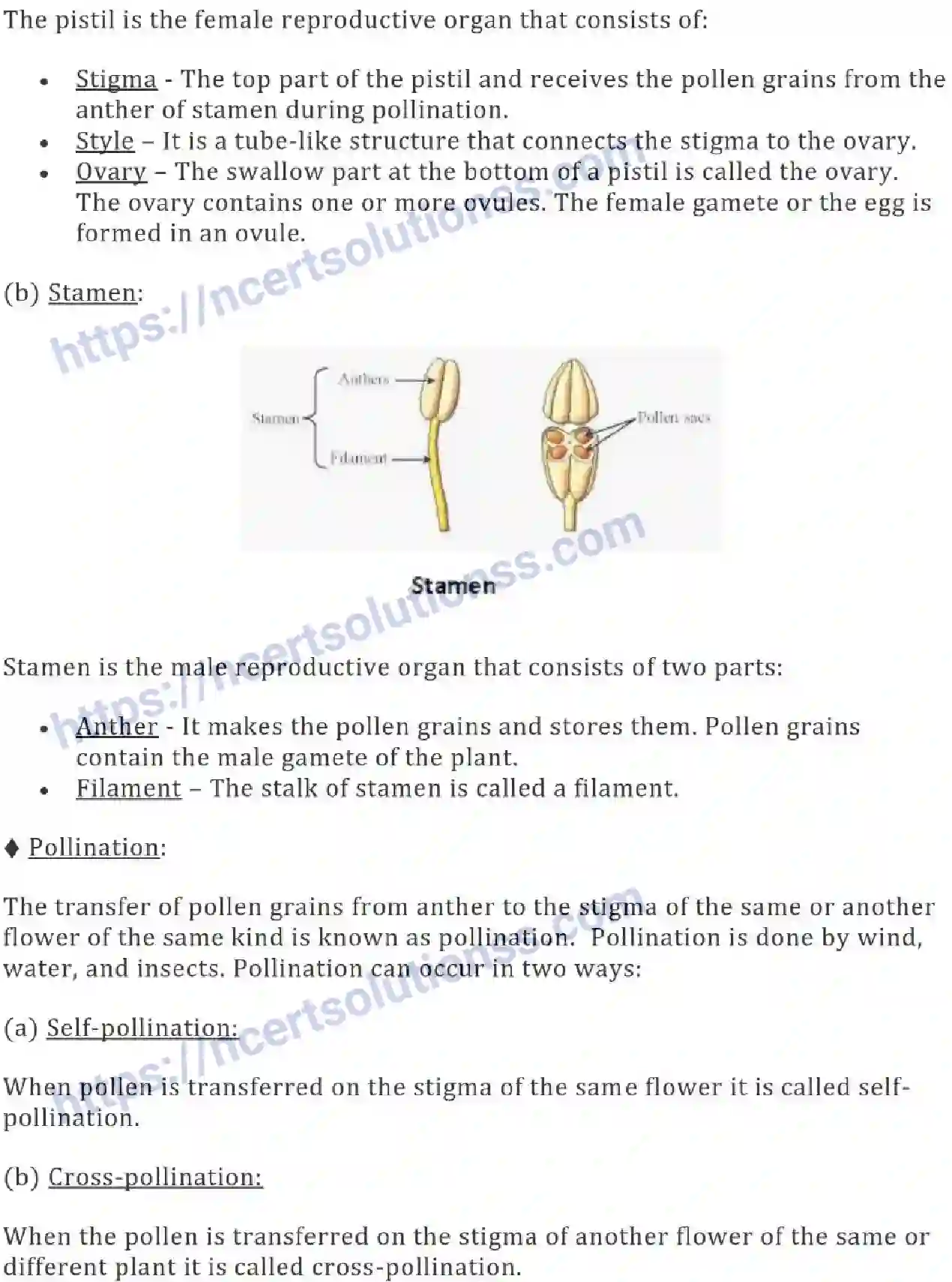 NCERT-Notes-Class-7-Science-Ch-12-Reproduction-in-Plants-695-page-4