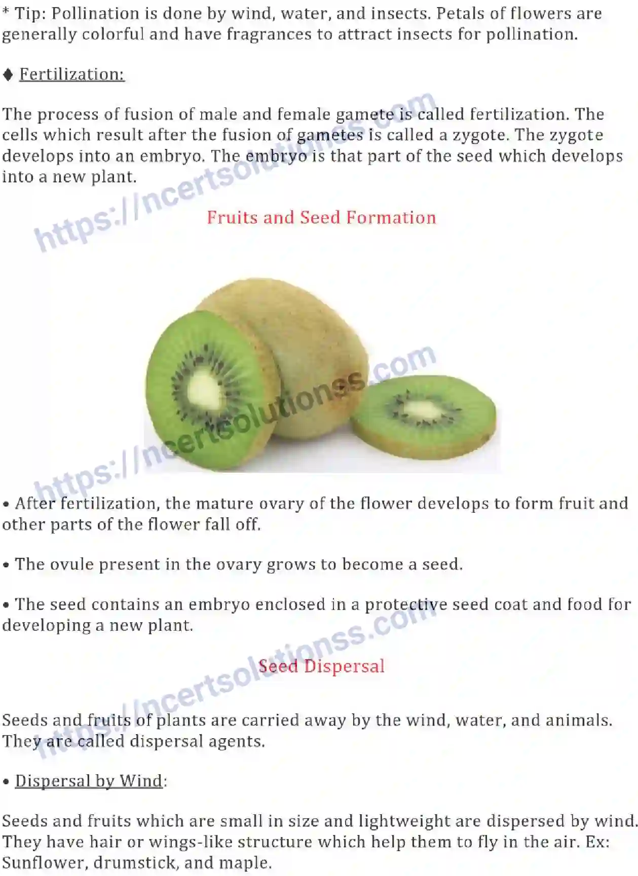 NCERT-Notes-Class-7-Science-Ch-12-Reproduction-in-Plants-695-page-5