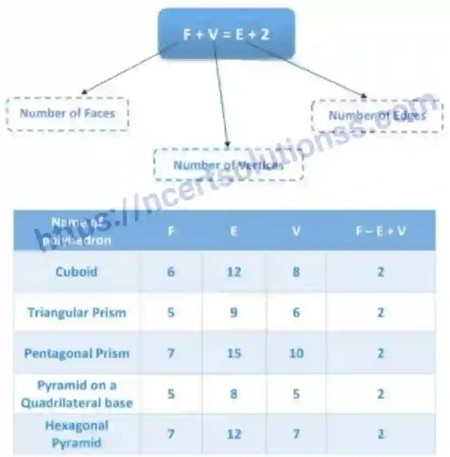 NCERT-Notes-Class-8-Mathematics-Visualising-Solid-Shapes-616-page-11