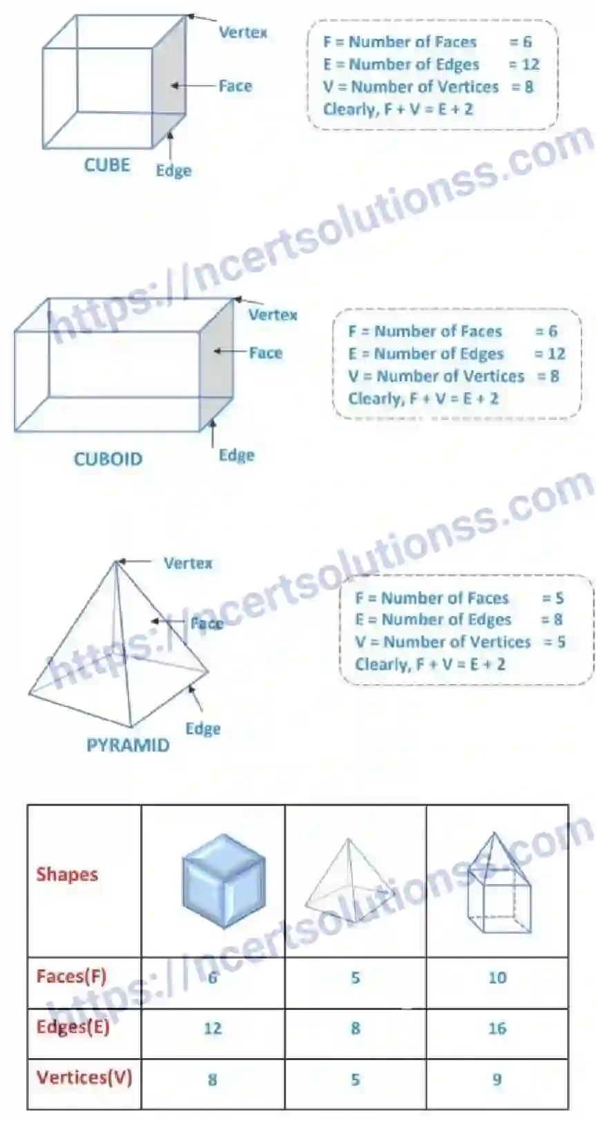 NCERT-Notes-Class-8-Mathematics-Visualising-Solid-Shapes-616-page-6