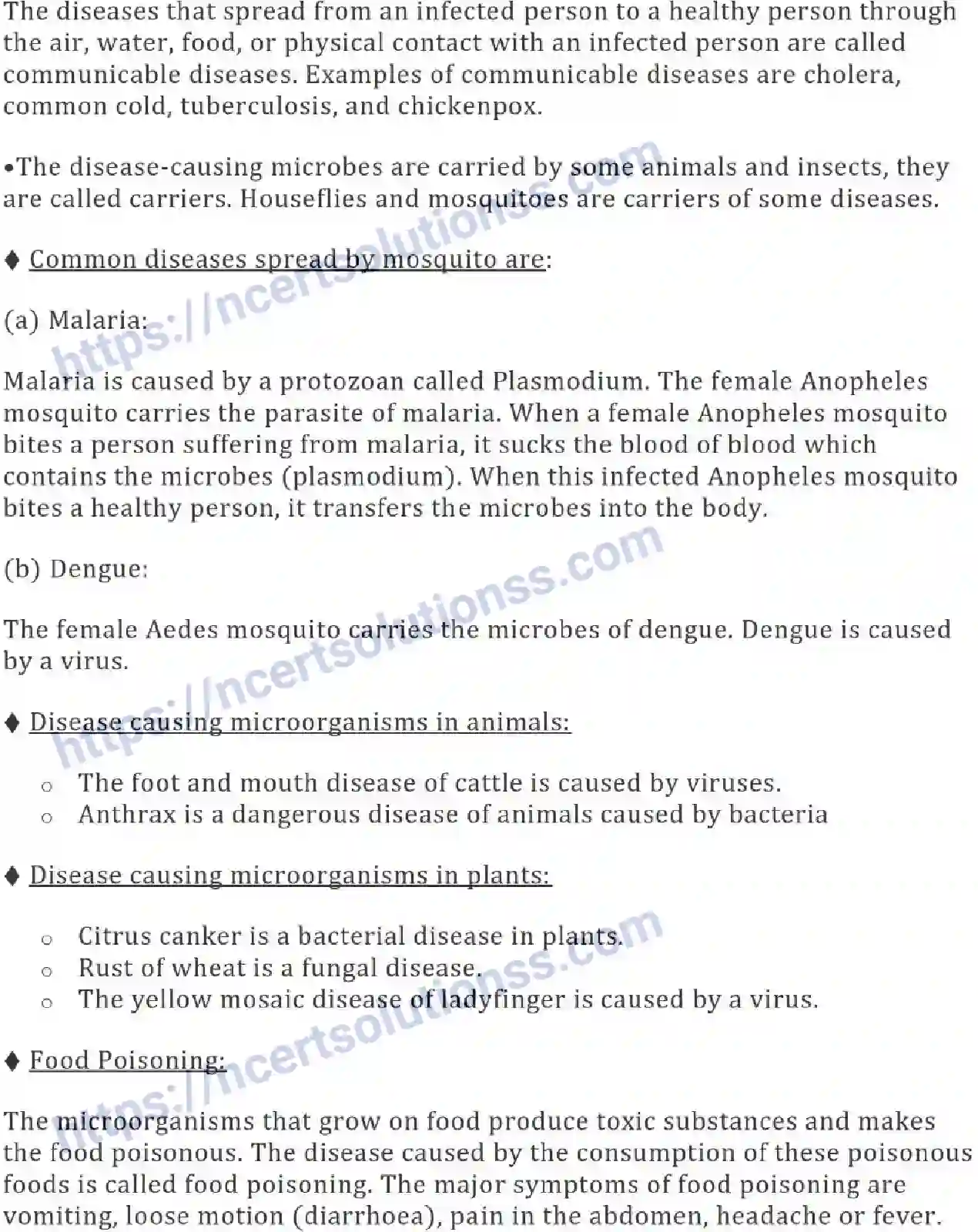 NCERT-Notes-Class-8-Science-Ch-02-Microorganisms-and--Friend-and-Foe-624-page-4