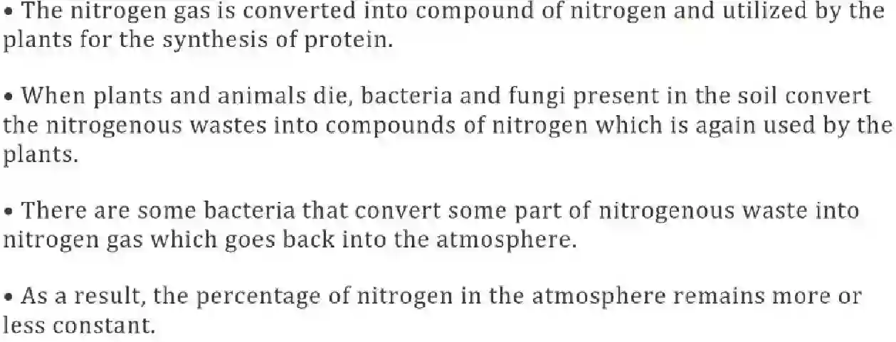 NCERT-Notes-Class-8-Science-Ch-02-Microorganisms-and--Friend-and-Foe-624-page-6