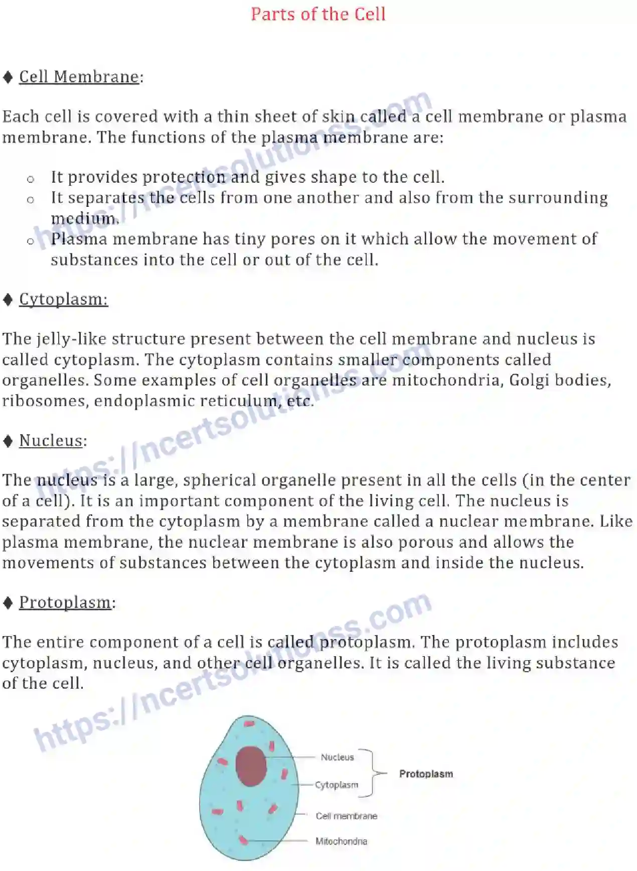 NCERT-Notes-Class-8-Science-Ch-08-Cell-and--Structure-and-Functions-630-page-4