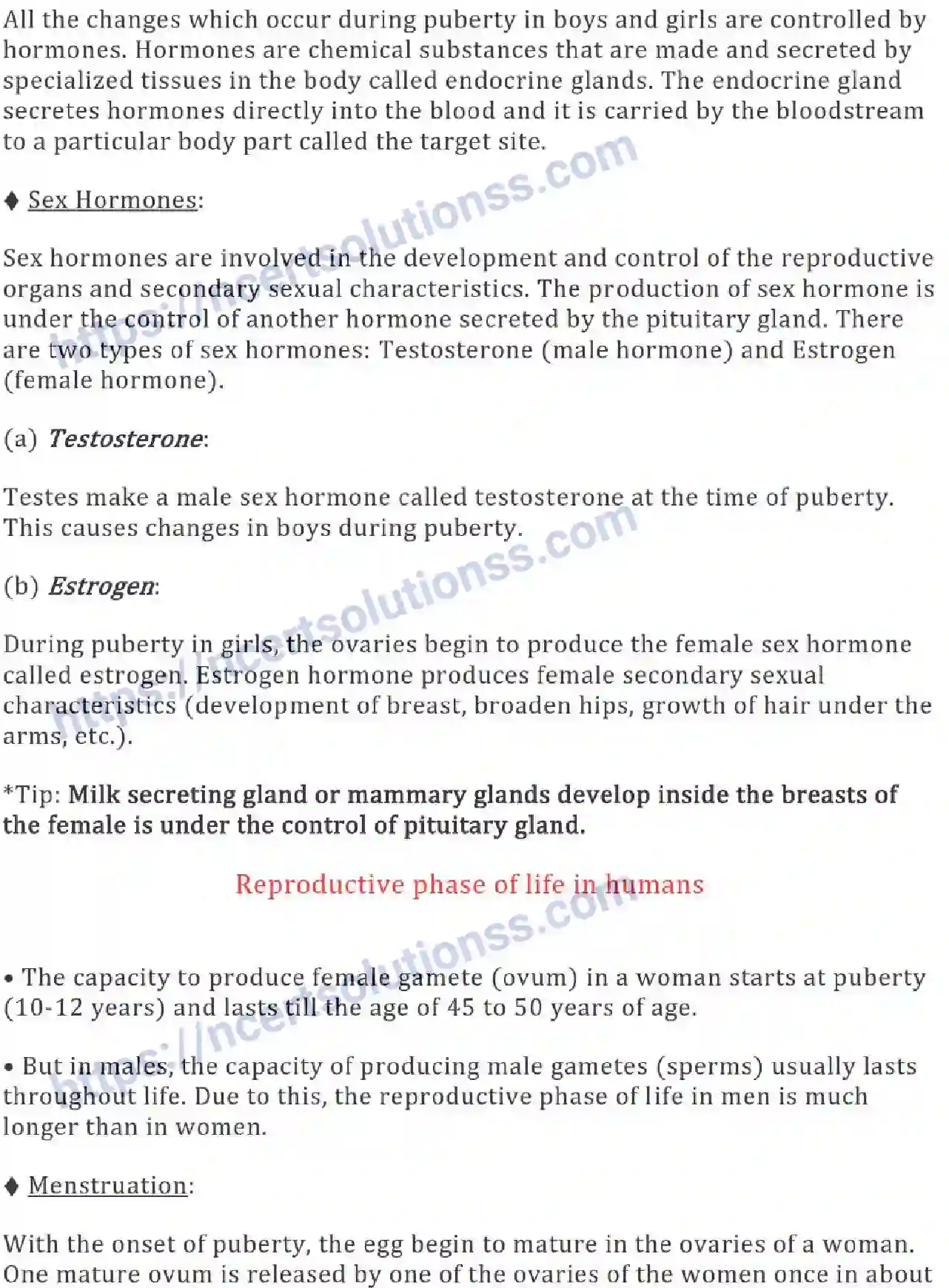 NCERT-Notes-Class-8-Science-Ch-10-Reaching-the-Age-of-Adolescence-632-page-4