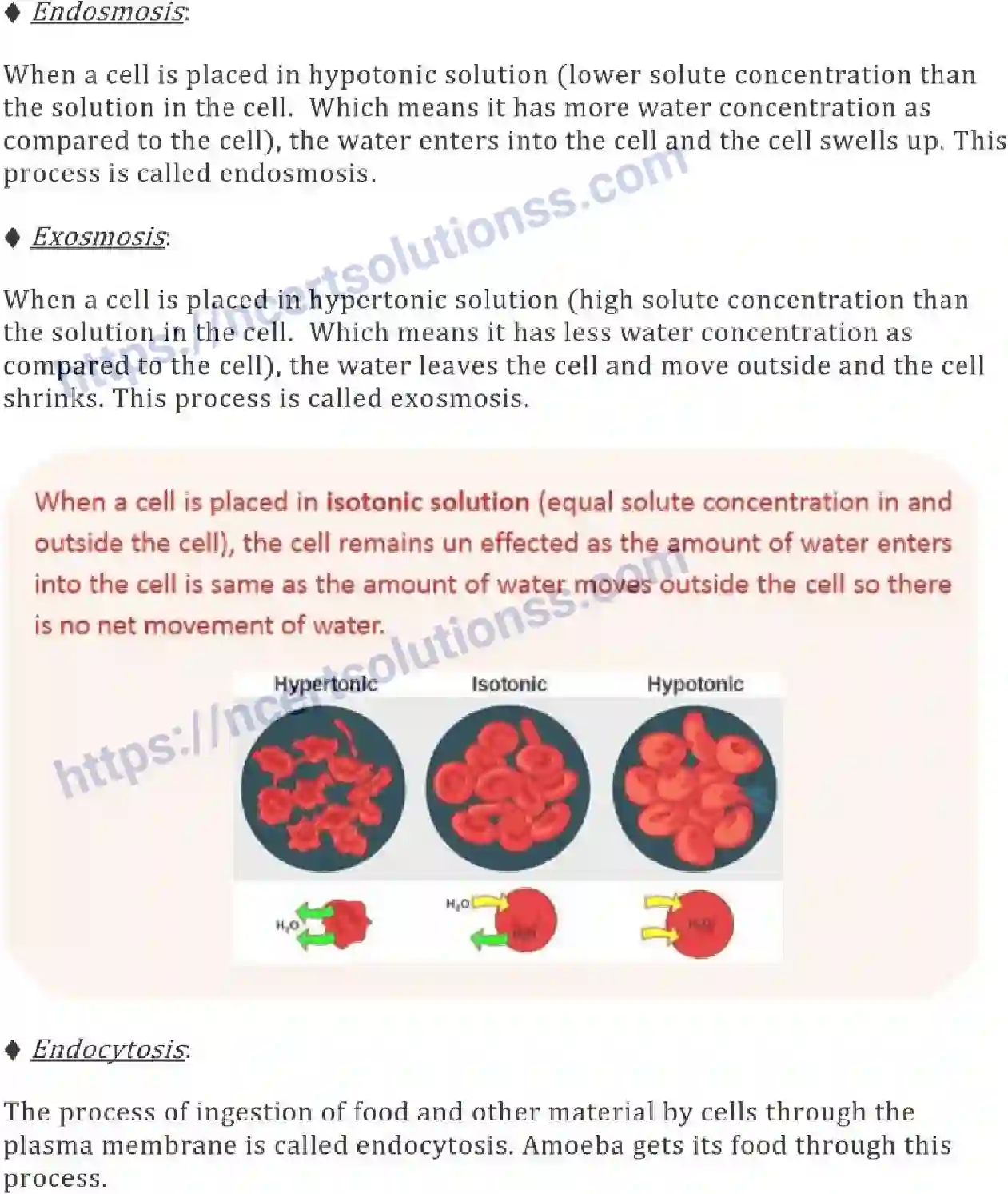 NCERT-Notes-Class-9-Science-The-Fundamental-Unit-of-Life-573-page-2