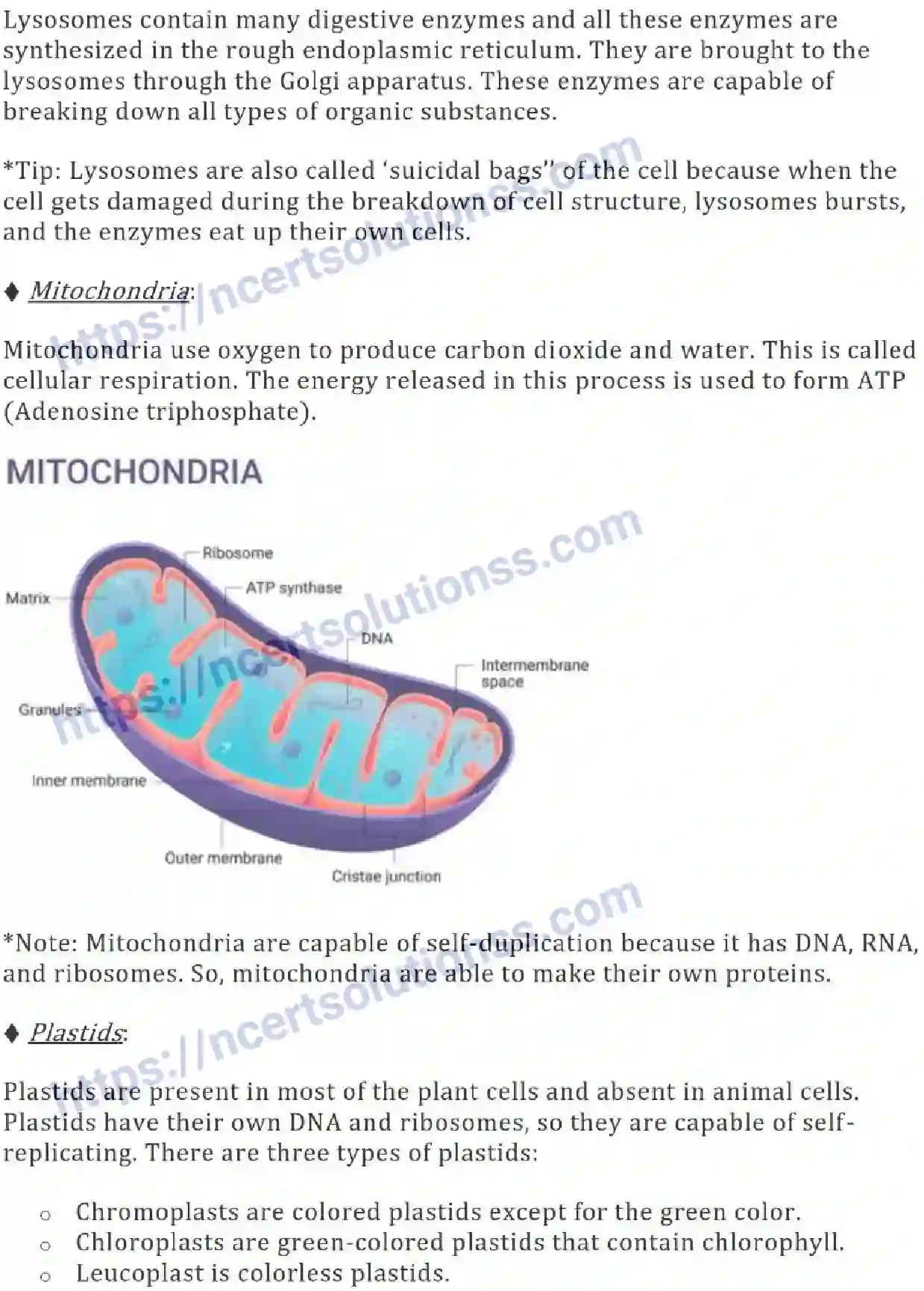 NCERT-Notes-Class-9-Science-The-Fundamental-Unit-of-Life-573-page-6