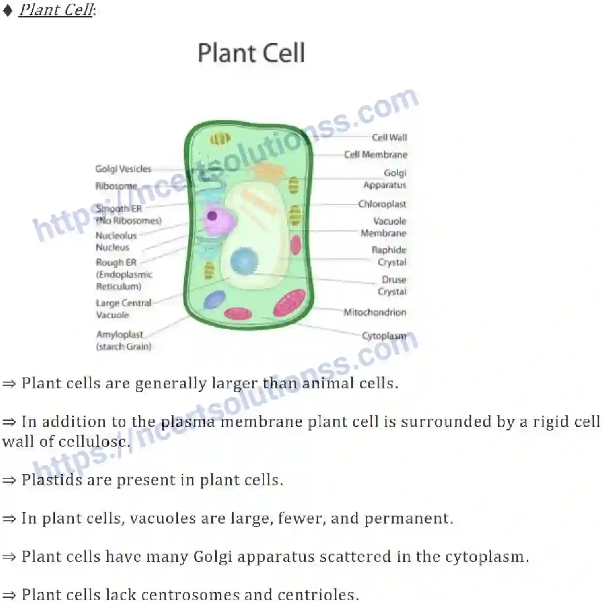 NCERT-Notes-Class-9-Science-The-Fundamental-Unit-of-Life-573-page-8