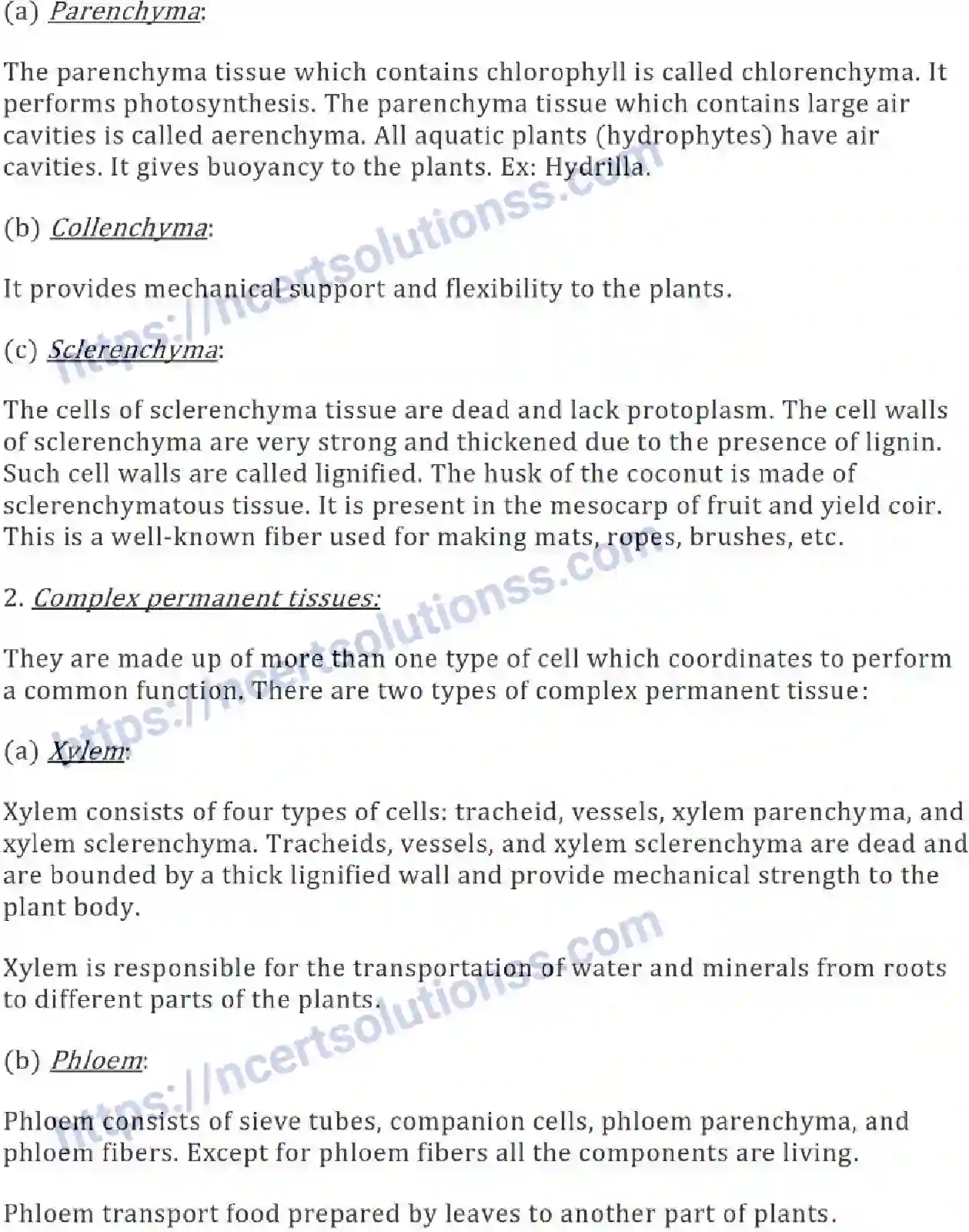 NCERT-Notes-Class-9-Science-Tissues-574-page-3