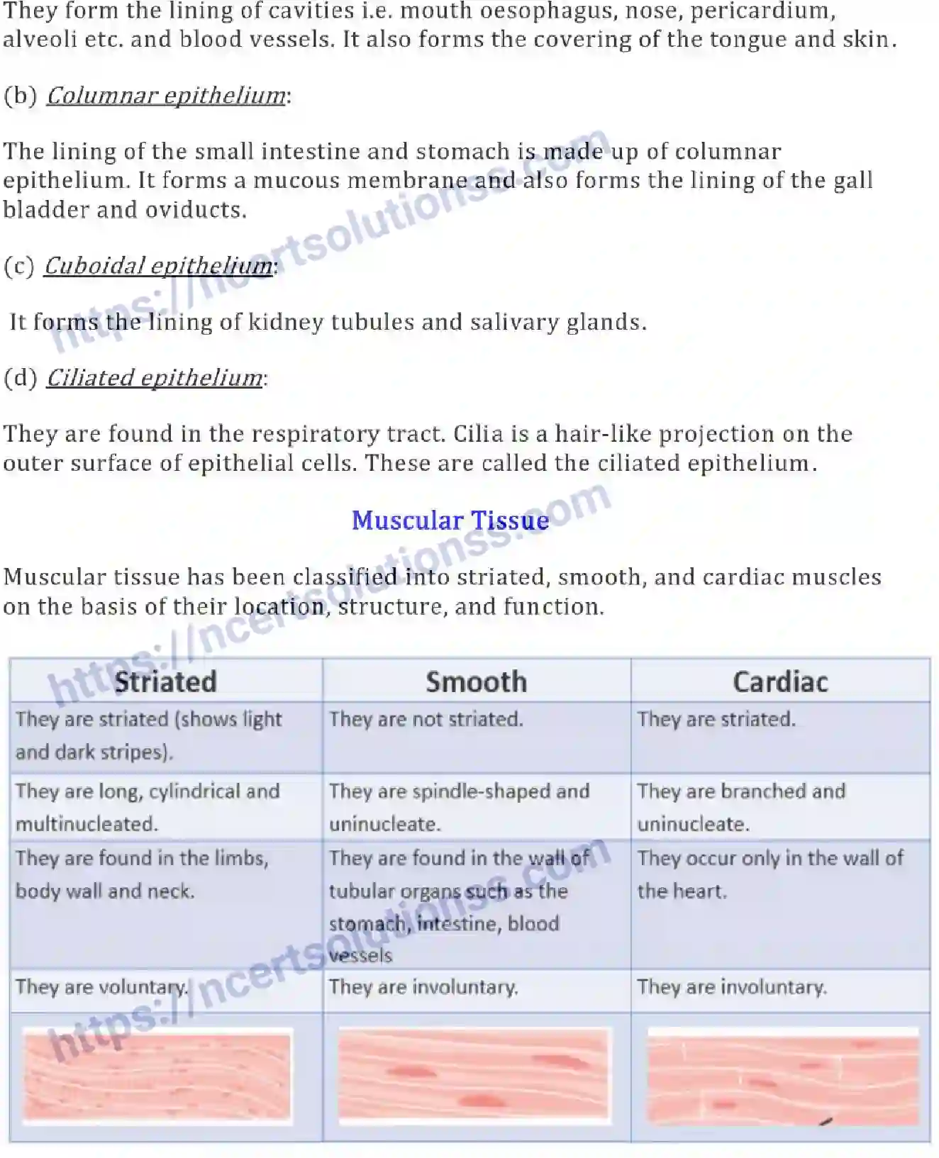 NCERT-Notes-Class-9-Science-Tissues-574-page-5