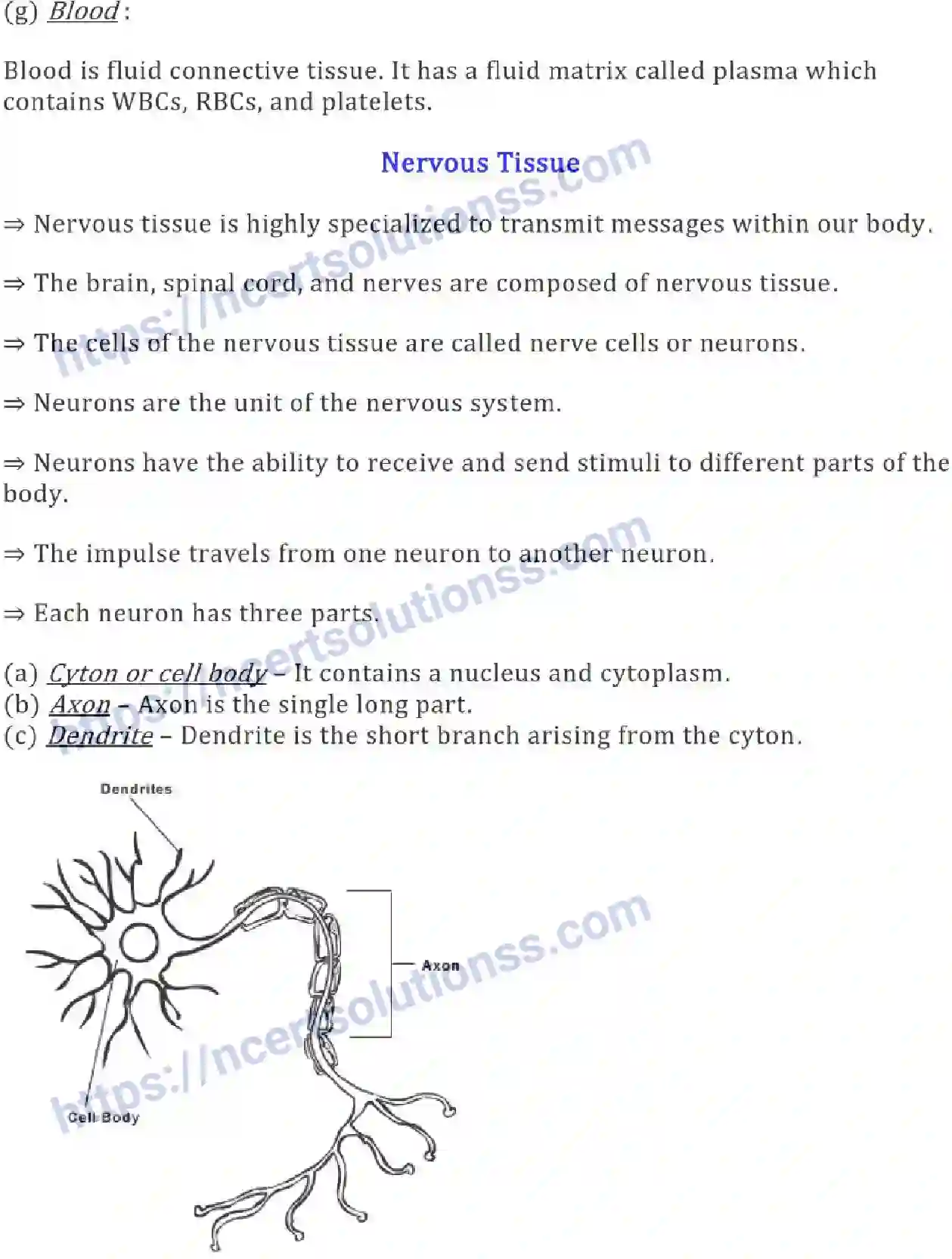 NCERT-Notes-Class-9-Science-Tissues-574-page-7