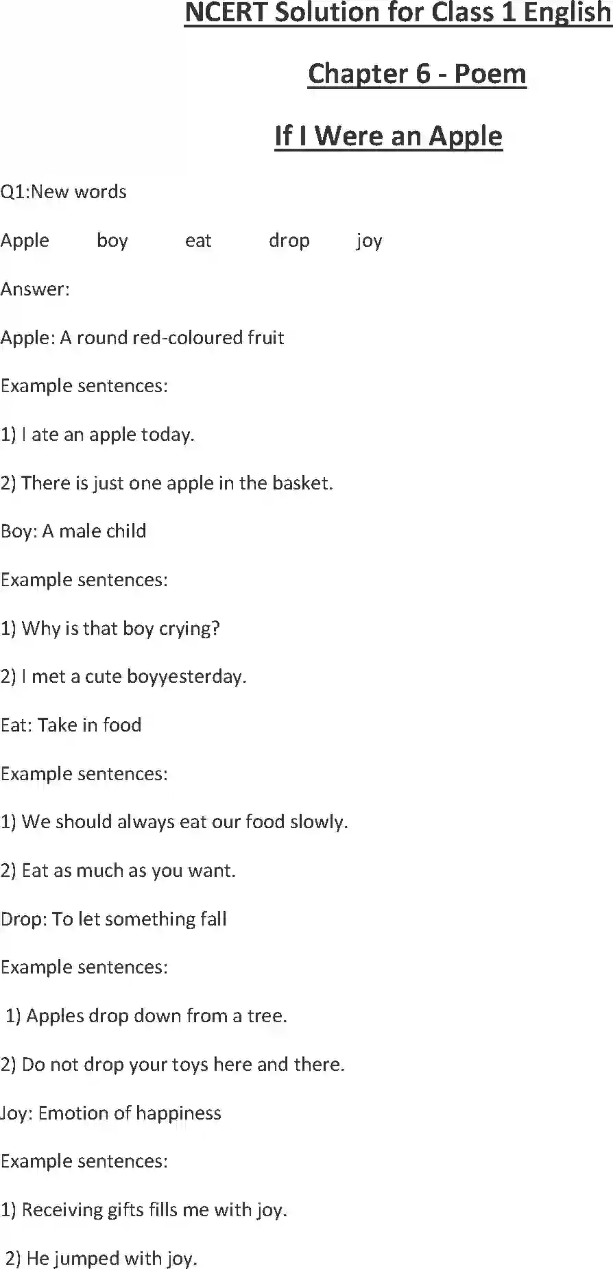 NCERT-Solution-Class-1-English-Chapter-6-If-I-Were-an-Apple-2145-page-1