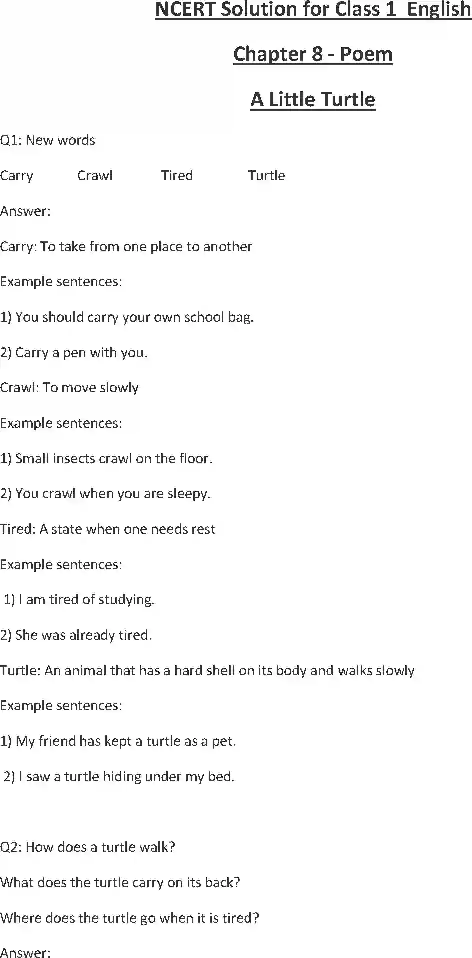 NCERT-Solution-Class-1-English-Chapter-8-A-Little-Turtle-2147-page-1