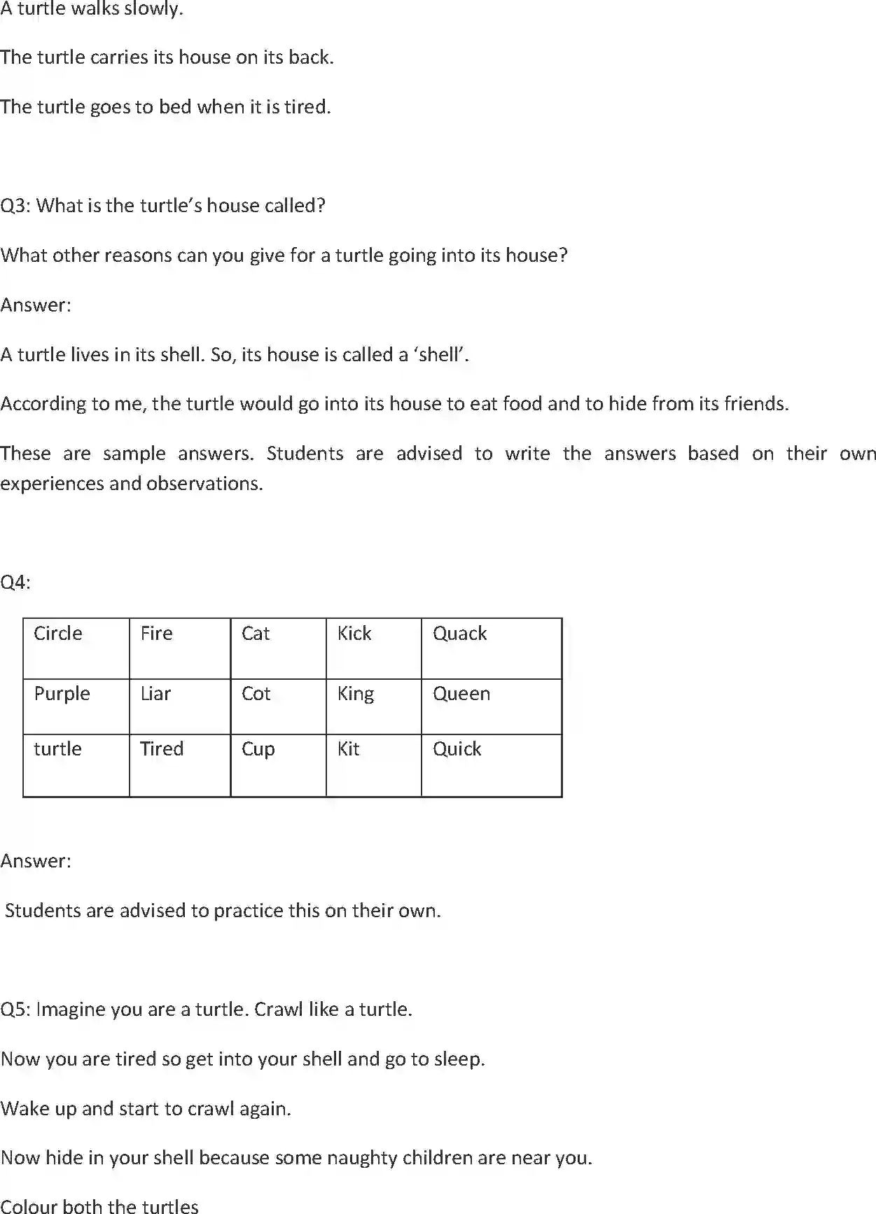 NCERT-Solution-Class-1-English-Chapter-8-A-Little-Turtle-4319-page-2
