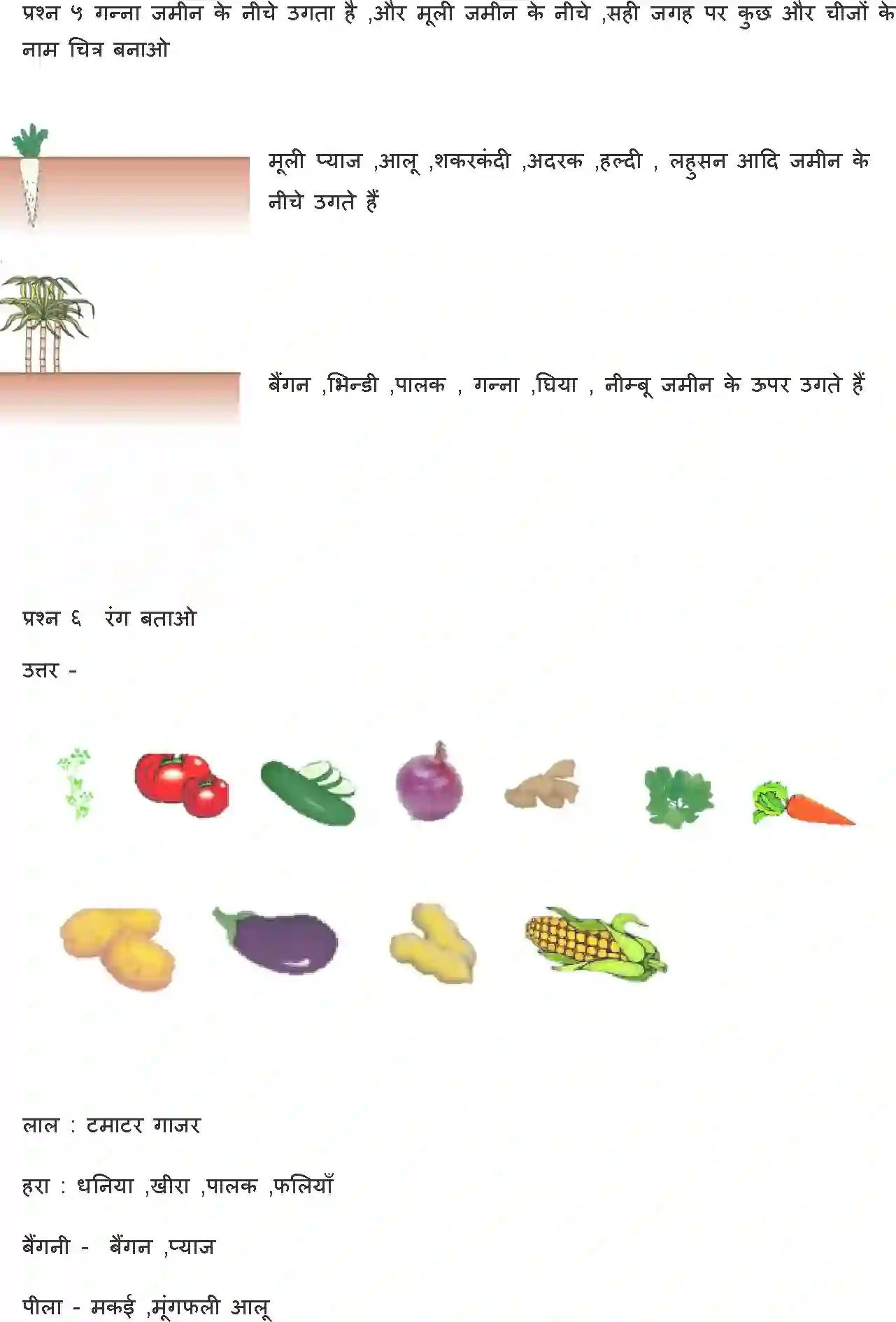 NCERT-Solution-Class-1-Hindi-Chapter-4-Patte-Hi-Patte-4325-page-3