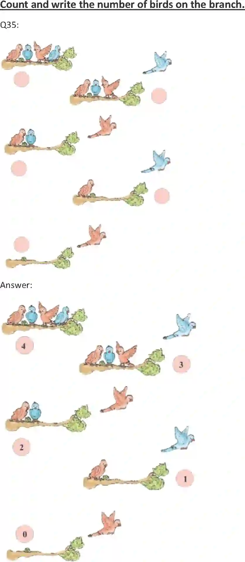NCERT-Solution-Class-1-Maths-Chapter-2-Numbers-from-One-to-Nine-2128-page-19