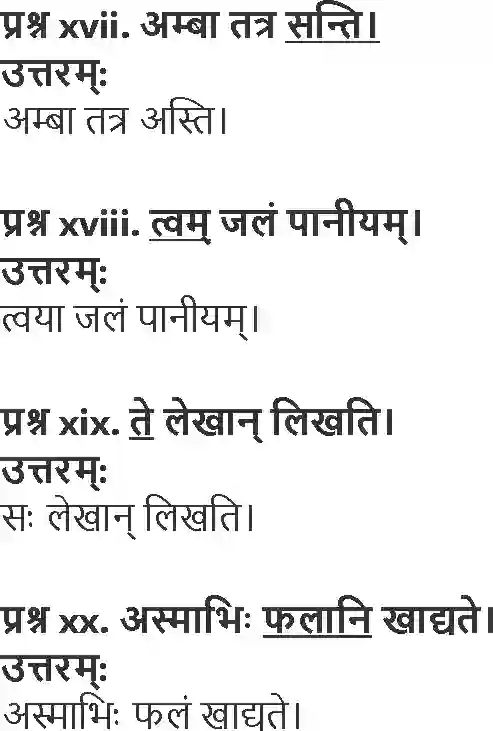 NCERT-Solution-Class-10-Abhyasvan-Bhavah-Ashuddhi-Sanshodhanam-1025-page-3