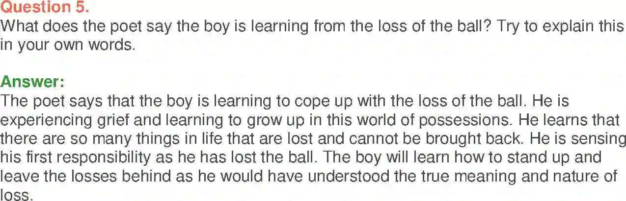 NCERT-Solution-Class-10-First-Flight-The-Ball-Poem-3102-page-2