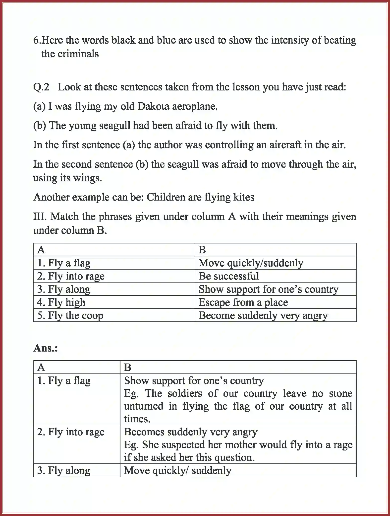 NCERT-Solution-Class-10-First-Flight-Two-Stories-about-Flying-3089-page-7