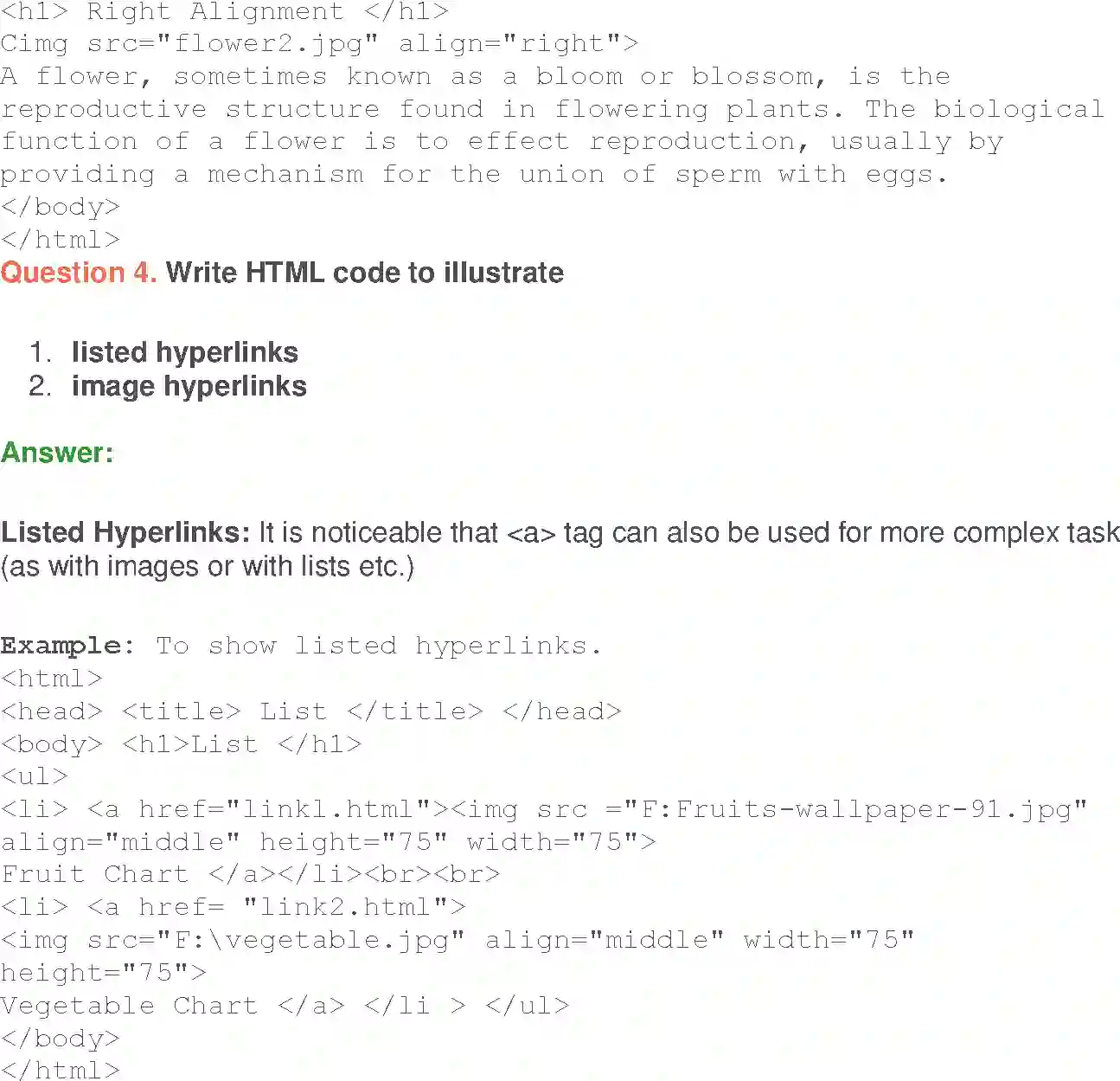 NCERT-Solution-Class-10-Foundation-of-Information-Technology-Inserting-Images-and-Links-in-HTML-3124-page-10